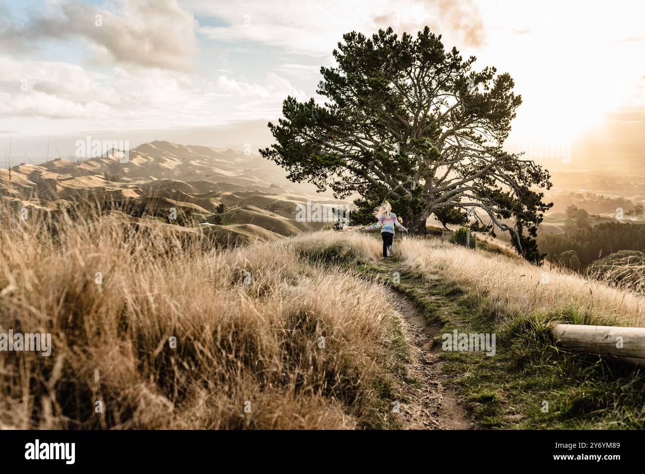 Enfant courant à l'arbre au sommet de la colline Banque D'Images