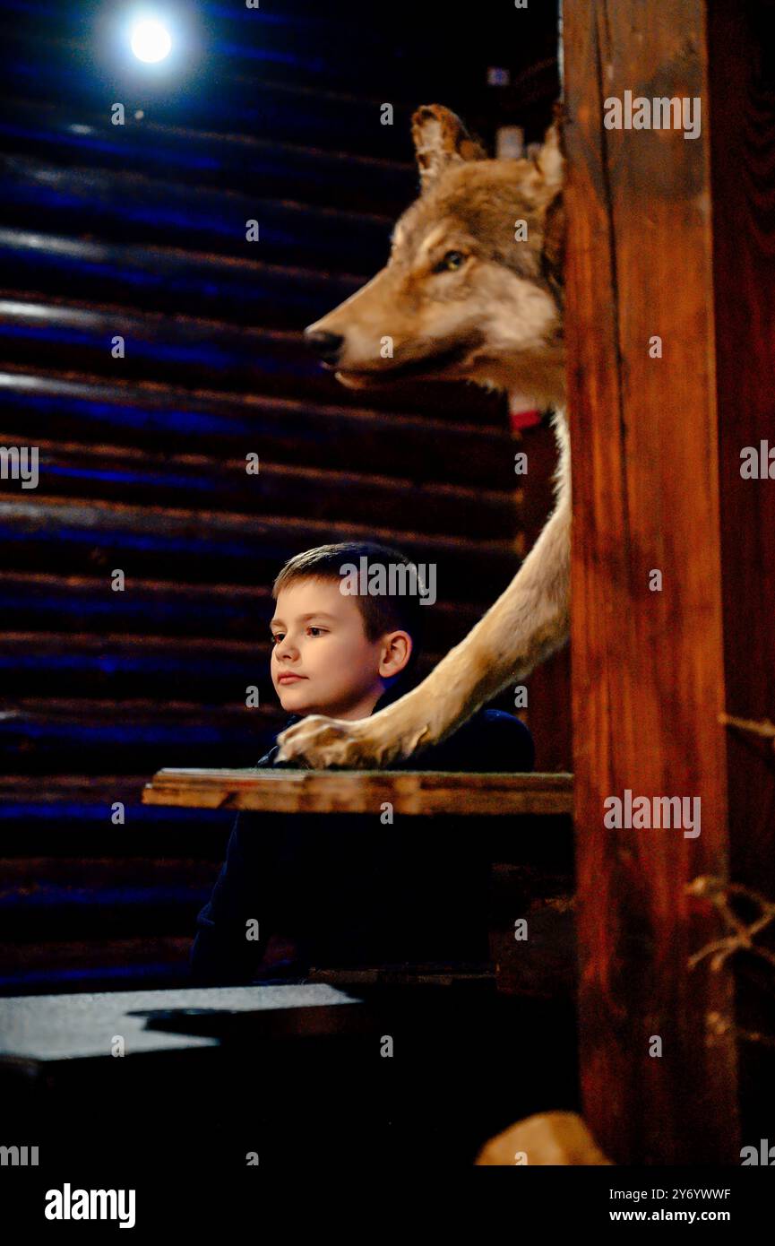 Dans un environnement rustique et charmant, un jeune garçon regarde un modèle de loup remarquablement réaliste exposé Banque D'Images