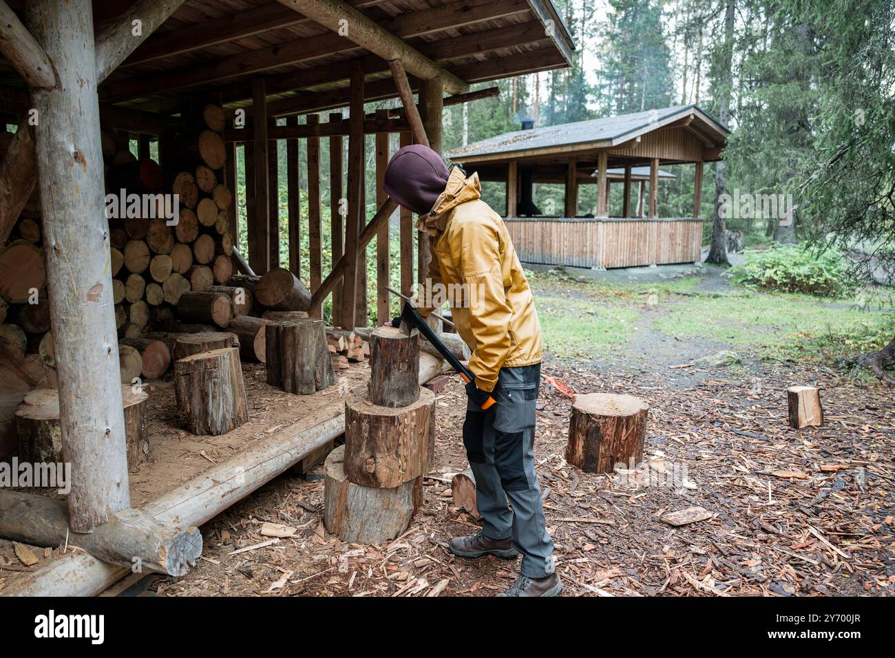 homme coupant du bois de chauffage avec une hache pour faire un feu dans la forêt Banque D'Images