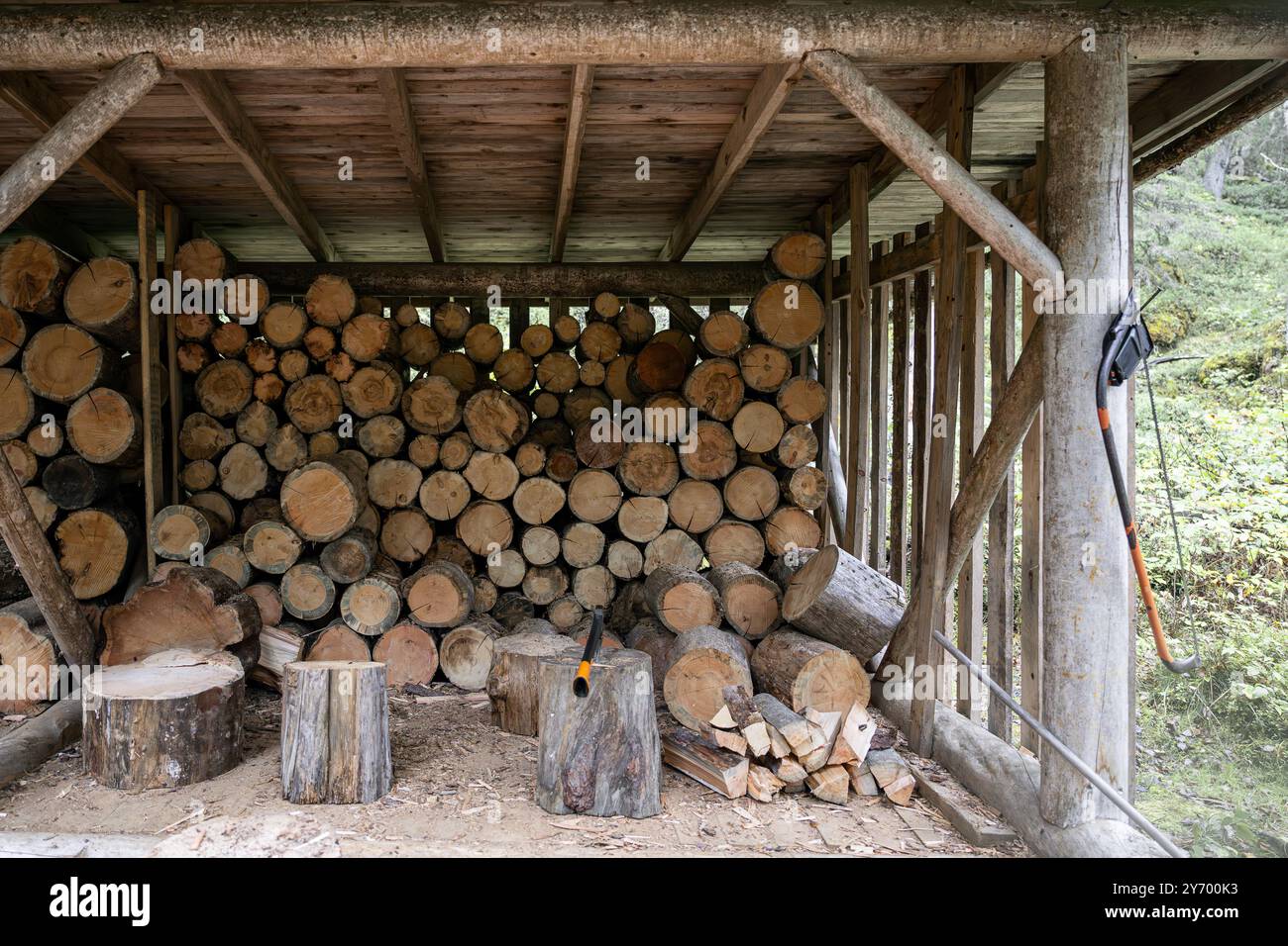 hangar pour entreposer du bois de chauffage avec du bois de chauffage sec dans le parc national Banque D'Images