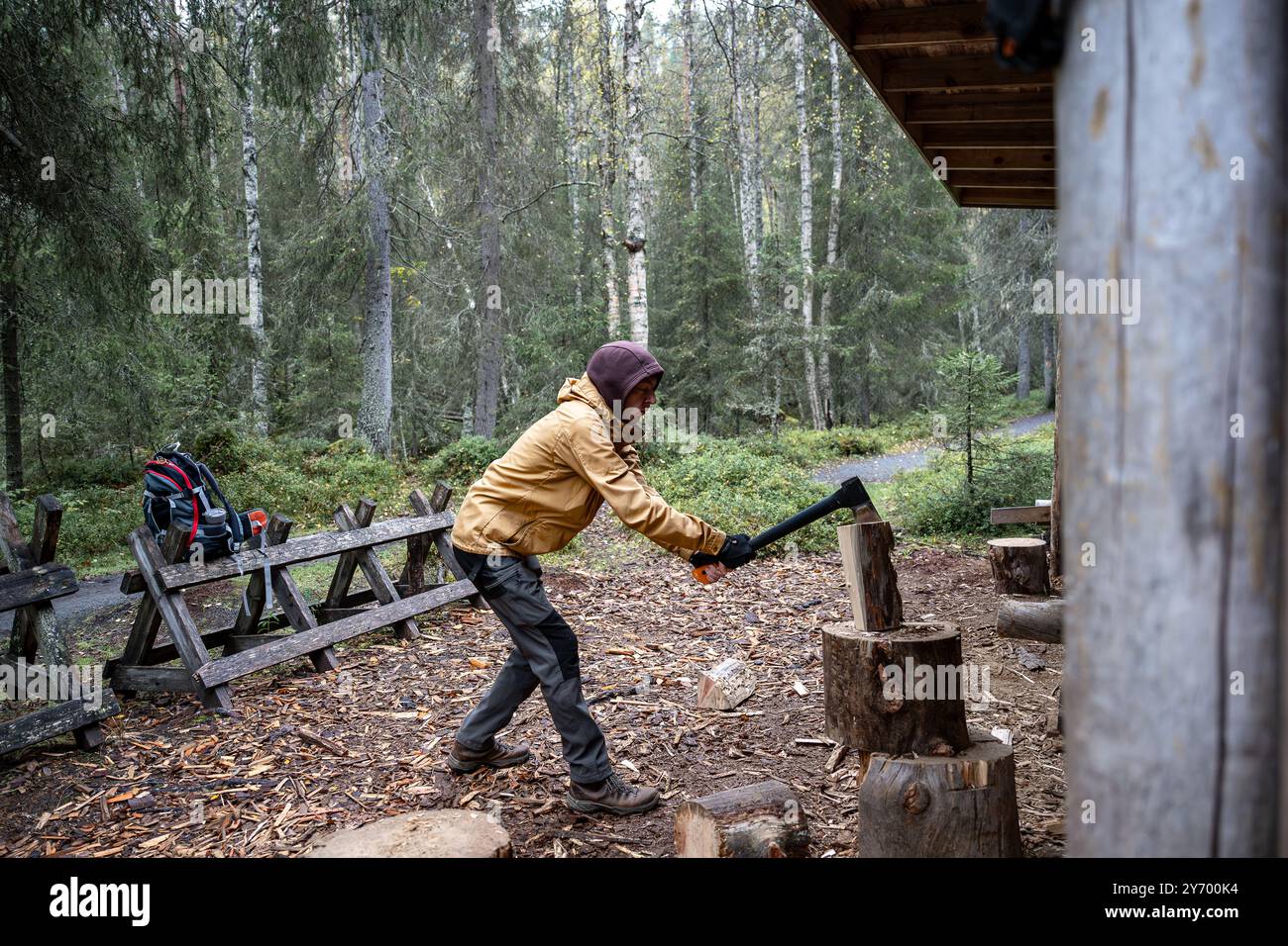 homme coupant du bois de chauffage avec une hache pour faire un feu dans la forêt Banque D'Images