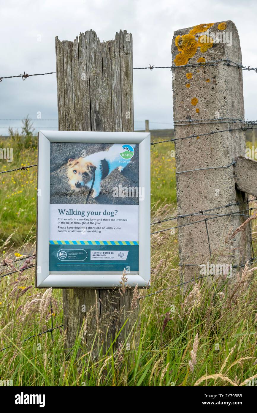 Les gens sont priés de garder leurs chiens sous contrôle lorsqu'ils traversent des terres agricoles pour visiter la réserve RSPB de Cottascarth dans les Orcades. Banque D'Images