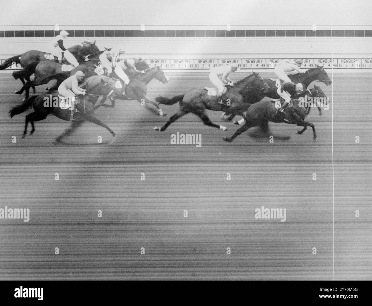 COALITION REMPORTE LA COUPE NEWBURY EN PHOTO - ARRIVÉE cette belle photo officielle - photo d'arrivée montre le point culminant palpitant de la course pour la Newbury Spring Cup à la réunion de Newbury ( Berkshire ) . La victoire est Mr . COALITION de H.W. Smith . D.L. Jones en haut ( à droite , plus loin des caméras ) . Juste une courte tête en face de Sir Malcolm McAlpines NATIVE HEATH, E. Smith vers le haut ( premier plan droit ) . À la troisième place , seulement trois quarts de longueur derrière , est SIGNALMAN , propriété du major G.S.L. Whitelaw et monté par J . Marshall . Voici Fair Ray (6) , Julian , le favori (3) , Deuces Wild (1 Banque D'Images