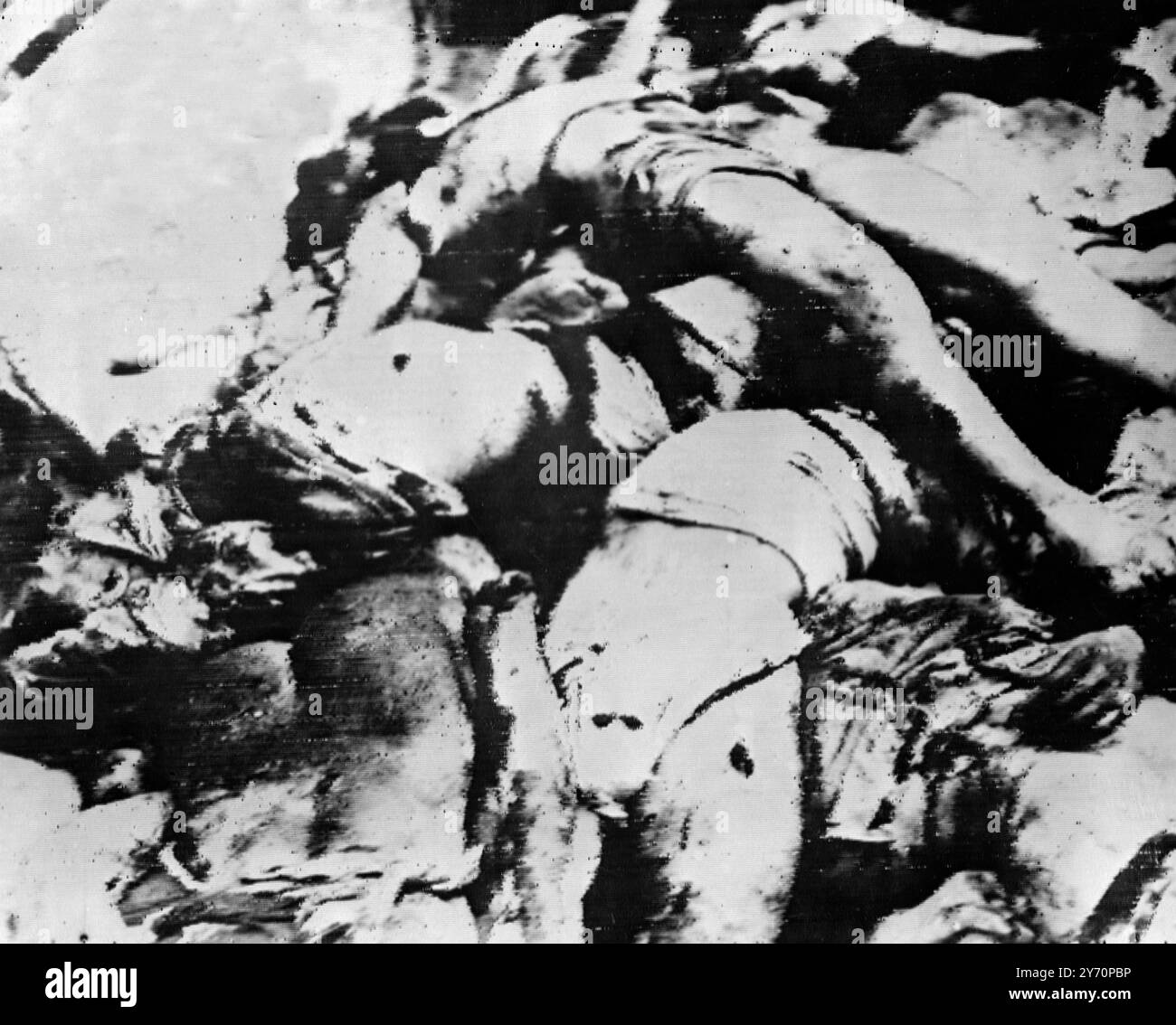 CORPS D'HOMMES DE LA HAGANAH PRIS EN EMBUSCADE DÉPOUILLÉS DE LEURS UNIFORMES PAR DES ARABES les corps de onze hommes de la Haganah (membres de la Force de défense juive illégale) sont vus allongés sur un camion, dépouillés de leurs vêtements - tout comme ils ont été amenés aux chefs-lieux de la police britannique à Ramallah (nord de Jérusalem). Ils faisaient partie des dix-sept Juifs tués par une grande force d'Arabes armés, alors qu'ils posaient des mines terrestres le long de la route contre la circulation arabe. Ils ont été pris en embuscade et attaqués, et après que leurs uniformes, leurs sous-vêtements et leurs bottes aient été enlevés de leur corps, ils ont été enchaînés ensemble. 5 mars 1948 Banque D'Images