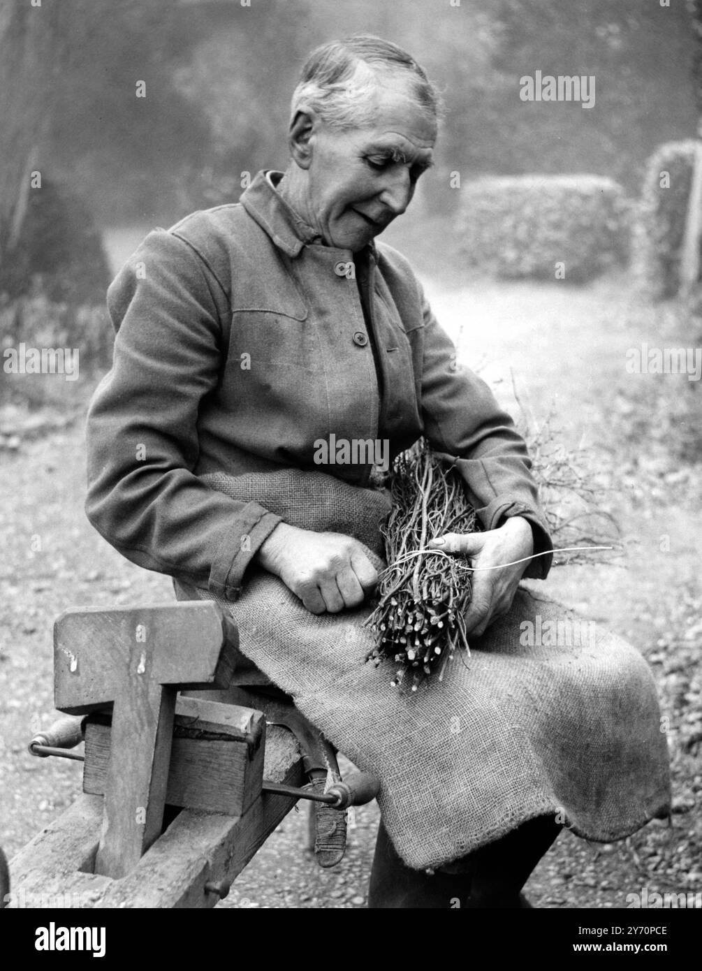 Artisan à Besom balais - - bois pour poignées est acheté chez les marchands locaux , ou d'un domaine . Il doit tomber et se préparer dans chaque cas. Le bouleau ou bruyère (et balai) qu'il obtient de la Commission des forêts. Sur cette image, M. Andrews est vu câbler un faisceau de bouleau - - 21 janvier 1957 Banque D'Images