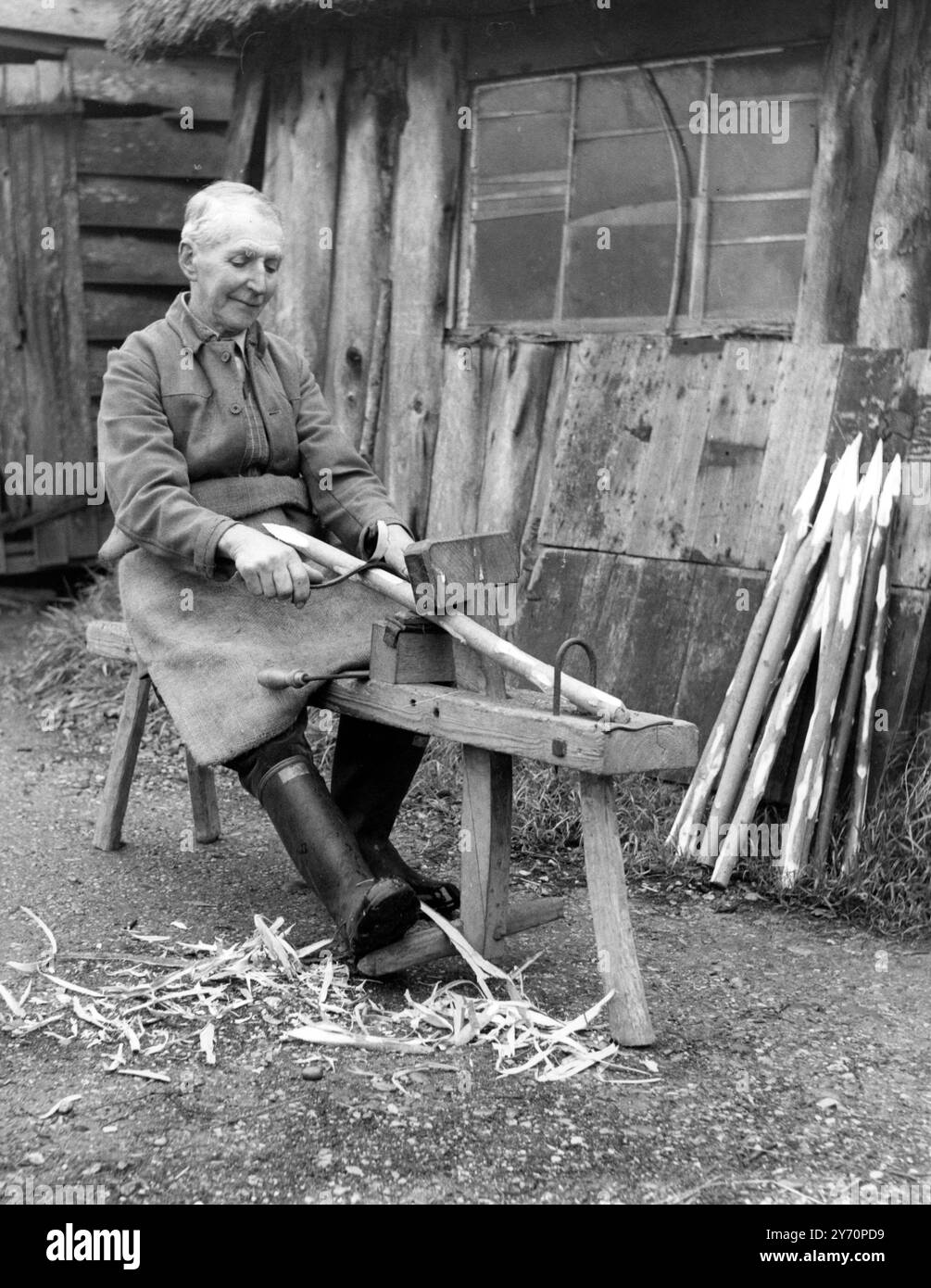 Artisan à Besom balais - - bois pour poignées est acheté chez les marchands locaux , ou d'un domaine . Il doit tomber et se préparer dans chaque cas. Le bouleau ou bruyère (et balai) qu'il obtient de la Commission des forêts. Photos montre : Mr A C Andrews au travail à l'extérieur de son atelier de jardin formant des poignées pour ses balais . Ils sont fabriqués à partir de frêne , parfois châtaignier ou tout ce qu'il peut trouver . - - 21 janvier 1957 Banque D'Images