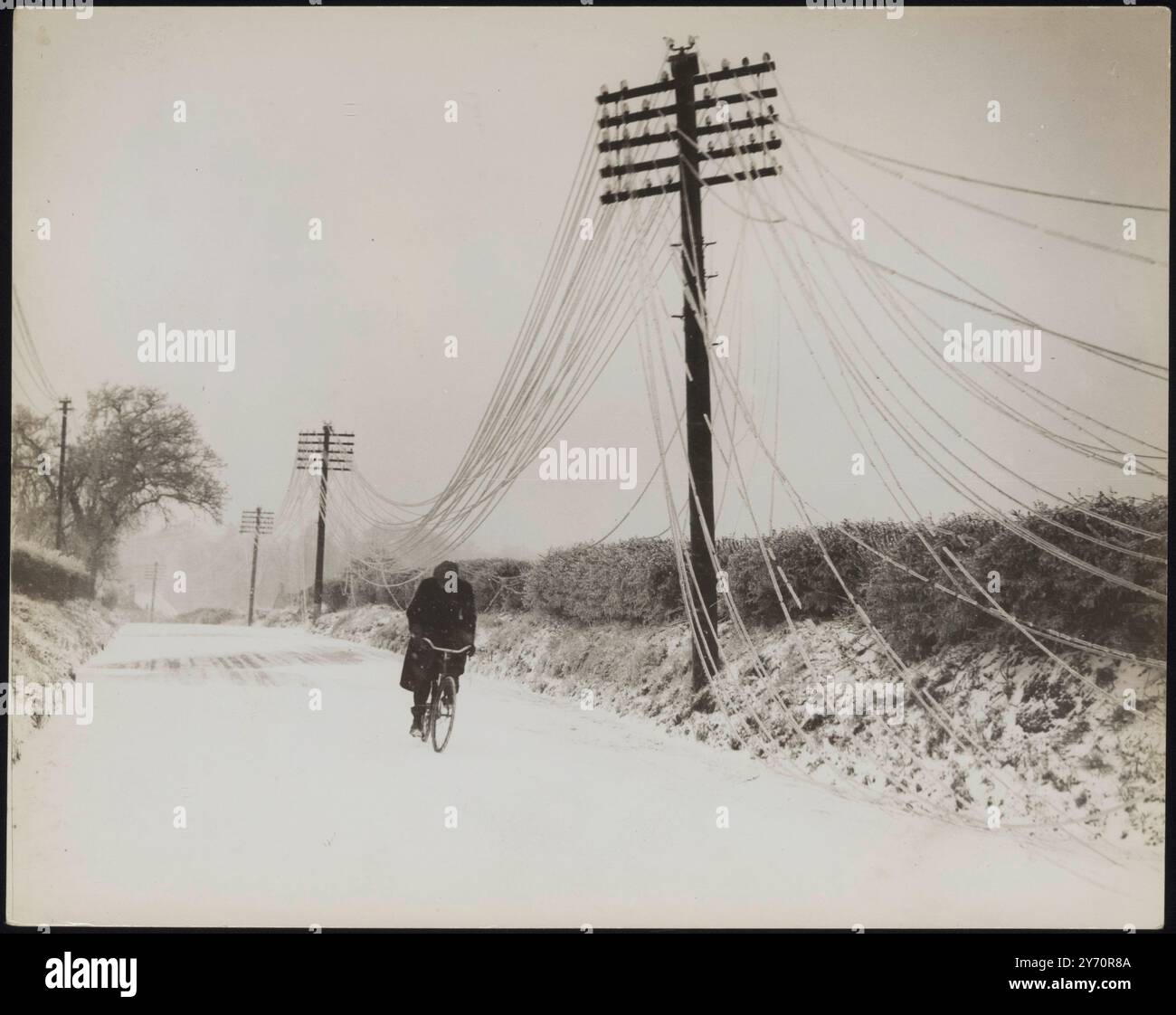 Les autobus, les voitures et les camions ont été laissés dans des dérives profondes, les câbles électriques et les poteaux télégraphiques abattus et les arbres soufflés par la force du blizzard qui a balayé le sud de l'Angleterre. LA PHOTO MONTRE:- fils téléphoniques, incrustés de glace d'un pouce et quart d'épaisseur, affaissant le long d'une route près d'Amesbury, Wiltshire décembre 1937 Banque D'Images Les autobus, les voitures et les camions ont été laissés dans des dérives profondes, les câbles électriques et les poteaux télégraphiques abattus et les arbres soufflés par la force du blizzard qui a balayé le sud de l'Angleterre. LA PHOTO MONTRE:- fils téléphoniques, incrustés de glace d'un pouce et quart d'épaisseur, affaissant le long d'une route près d'Amesbury, Wiltshire décembre 1937 Banque D'Images