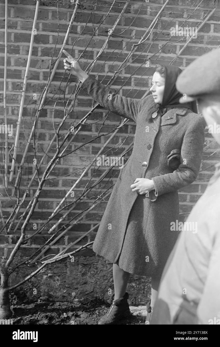 Journée portes ouvertes de la station de recherche East Malling . Dr . A.B. Beaklane -formation murale . 1er janvier 1947 Banque D'Images