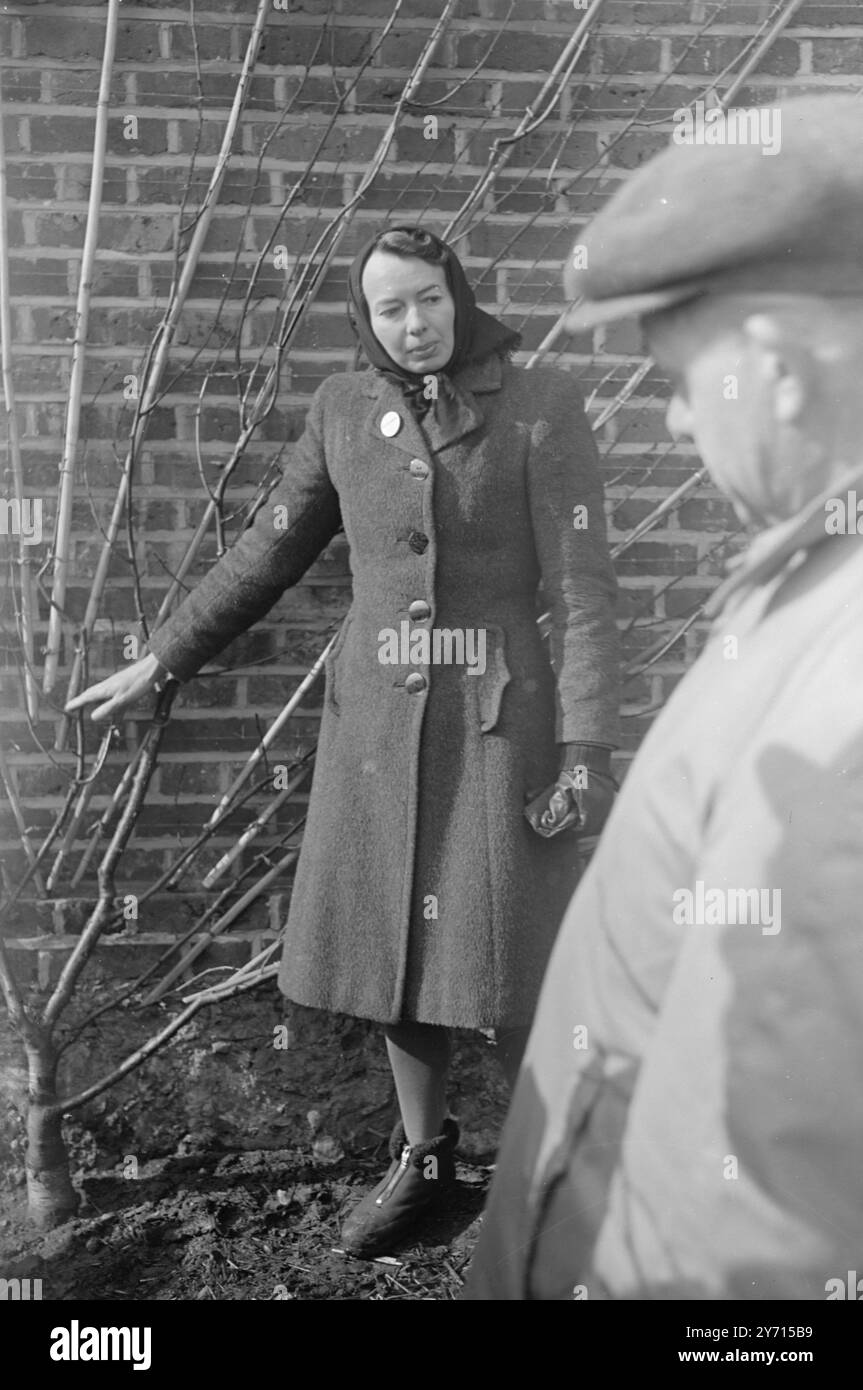 Journée portes ouvertes de la station de recherche East Malling . Dr . A.B. Beaklane -formation murale . 1er janvier 1947 Banque D'Images