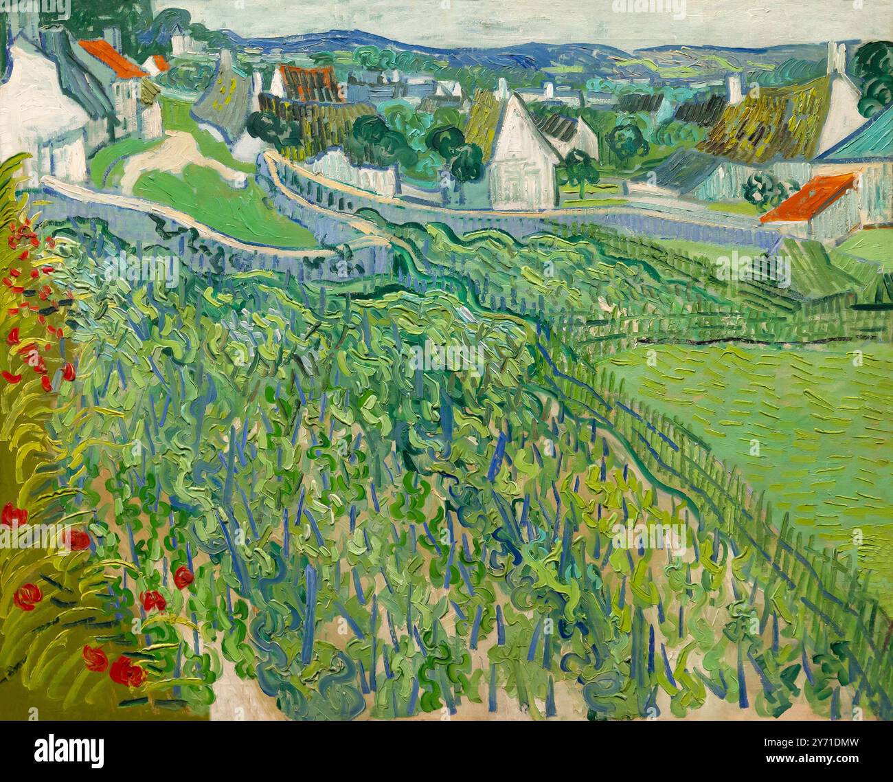 Vignobles à Auvers-sur-Oise, Vincent van Gogh, 1890, Banque D'Images