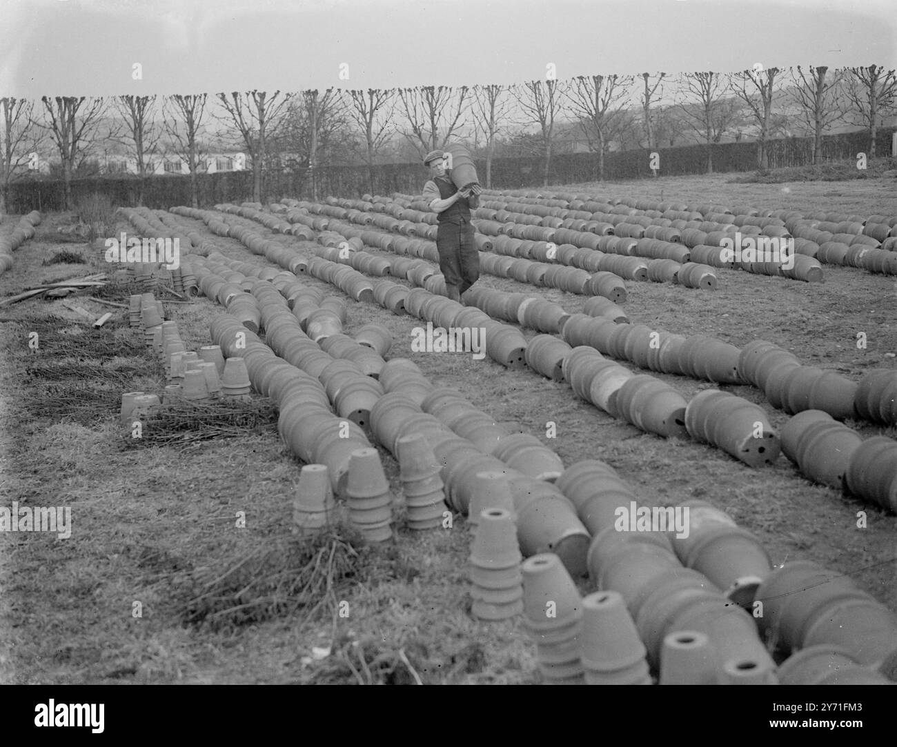 Pots de fleurs en terre cuite dans un field1940 Banque D'Images