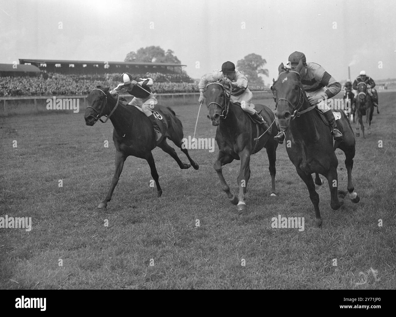 ' PRECIPTIC WINS ' EMPIRE DAY HANDICAP . H . H . Le Maharaja de Baroda ' s préciptic ' ( C . Smirke Up n ° 1) à l'intérieur sur les rails , remporte le handicap de l'Empire Day à Alexandra Park deuxième réunion de mai . MRS V. Smyth ' s ' Hotspur ', ( H . Packham Up , No 12 ) est deuxième , tandis que M. T. f . Blackwell ' s ' parasol ' , ( R. POTTER Up , No . 19 ) vient en troisième place . 24 mai 1948 Banque D'Images