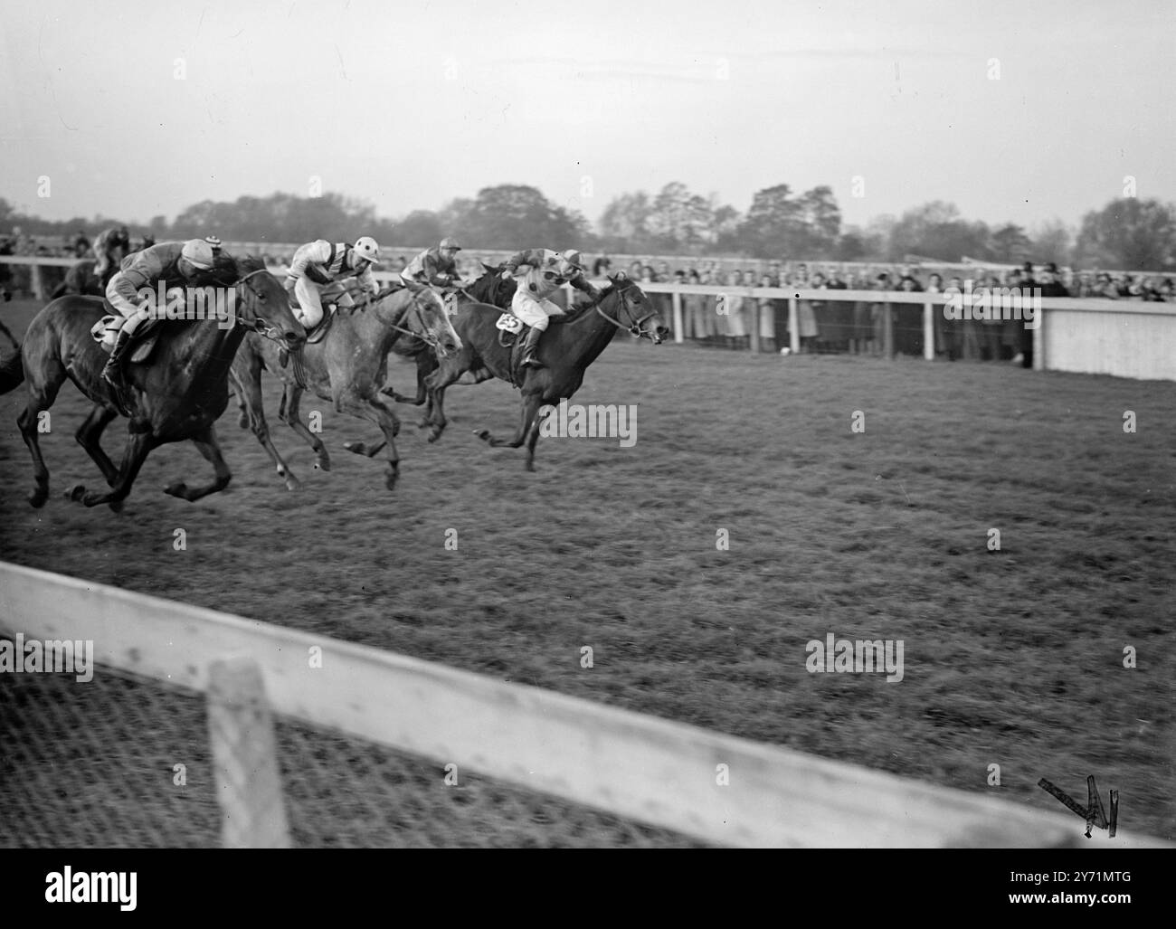 STAR WINNING RACING À WINDSOR COLARADO STAR (NO. 25-à droite) (W. Snaith) remportant le Stoke place handicap à Windsor contre DONEGAL 11(à gauche , monté par J. Marshall) , avec SAVING GRACE (centre, Gdn. Richards , haut ) troisième . 6 novembre 1948 Banque D'Images