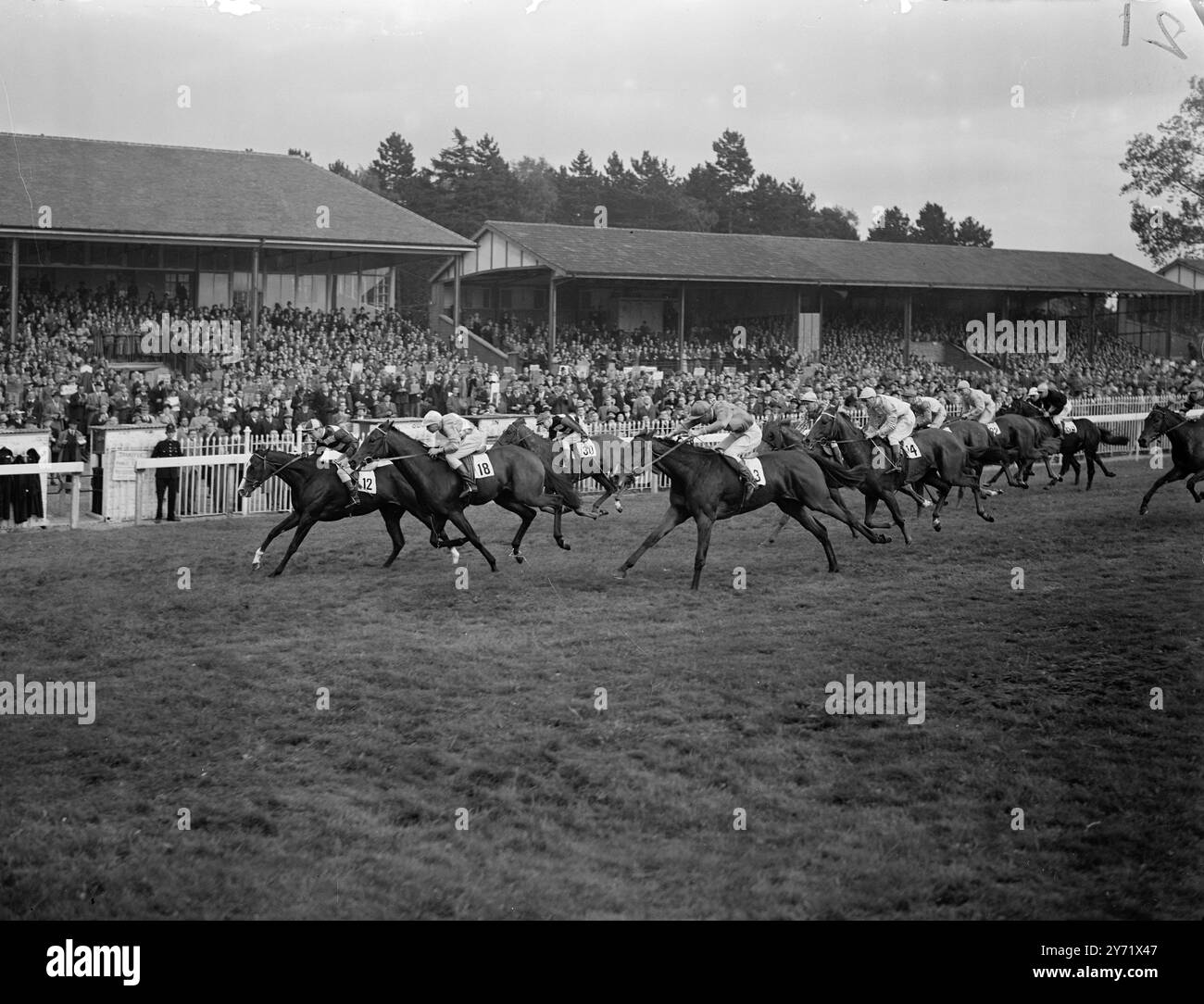 Course à Lingfield Park. L'entraîneur de Blewbury, G. T Johnson Houghton, a réussi dans deux handicaps avec Fast Soap et Angelic à Lingfield Park aujourd'hui. Photo montre : dans la tête et le cou Hogmanay (T Lowery) passe le poteau devant le Père Albion (W Holden) et White Ant (T Hawcroft), No.3. 6 octobre 1948 Banque D'Images