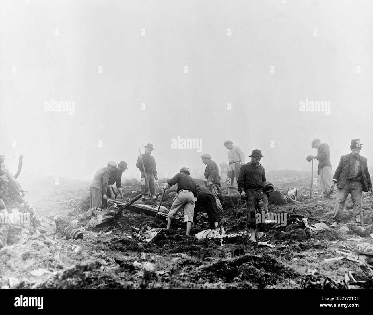 Les corps des 11 Américains qui figuraient parmi les 48 personnes tuées lors de l'écrasement de l'avion Air France Constellation sur un pic aux Açores , seront transportés aux États-Unis pour y être enterrés, le reste des victimes , dont Marcel Cerdan , boxeur français et Ginette neveu , violoniste de renommée mondiale , seront ramenés en France . Photos : les paysans alpinistes des Açores vus au peigne fin à travers l'épave dispersée de la Constellation écrasée le 2 novembre 1949 Banque D'Images