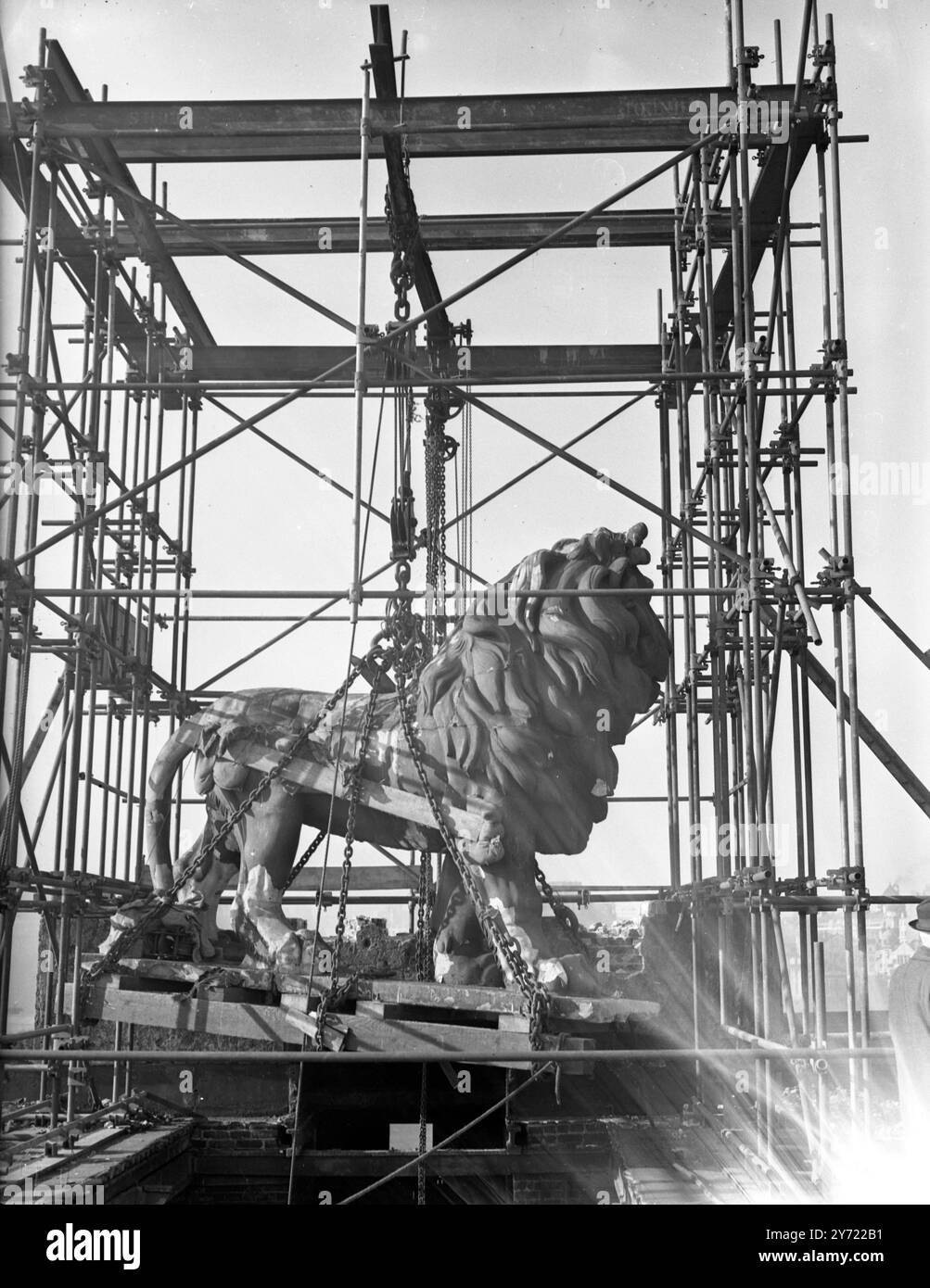 Le Lion de Hungerford en mouvement. Fabriqué par William Frederick Woodington en 1837, il se trouvait au sommet de l'ancienne brasserie Lion et a été un symbole de la rive sud sur la Tamise pendant plus de 100 ans jusqu'à ce qu'il soit prêt pour le Festival de Londres, près de Waterloo Station en 1949. Depuis 1966, il est situé à l'extrémité est du pont Westminster. Photographié ici dans la première tentative de le déplacer de l'ancienne brasserie Lion à Belvedere Road, Lambeth, Londres, mais il s'est avéré trop lourd, de sorte que l'opération a été suspendue jusqu'à ce qu'un nouveau bar plus fort soit trouvé. 8 février 1949 Banque D'Images