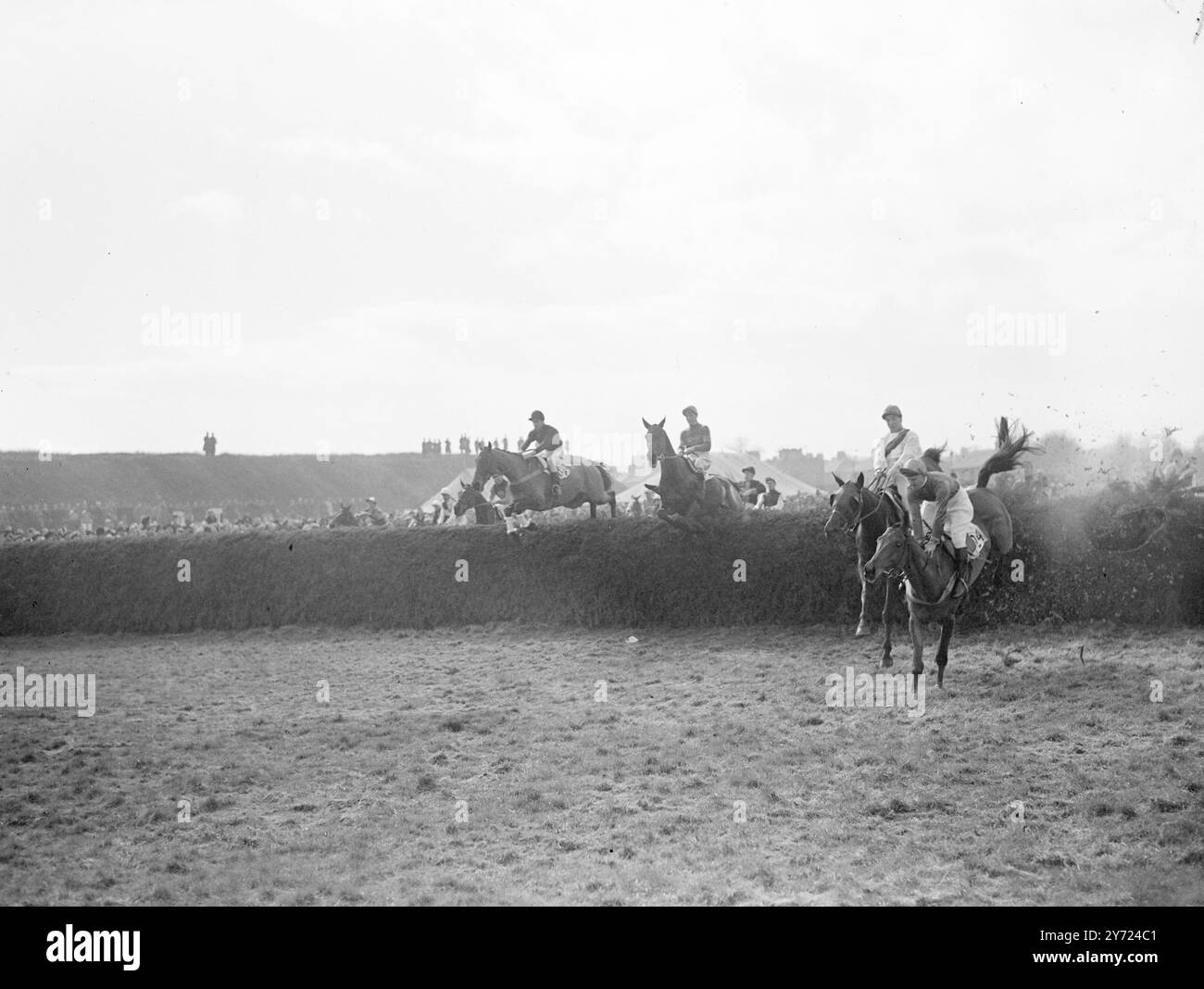 Aintree Honours pour Sheila's Cottage. Jument de M. J. Proctor, Sheila's Cottage, monté par l'Irlandais né A. P Thomson, est entrée dans l'histoire de la course à Aintree aujourd'hui (samedi) quand, dans un peloton de 43 coureurs, elle a remporté le Grand National par une longueur du premier des Dandies de Major d Vaughan (J. Brogan) C'était la première fois depuis 1902 qu'une jument remportait le grand steeple. Lord Mildmay, sur son propre Cromwell, fut malheureux une fois de plus. Il ne pouvait atteindre que la troisième place. Prix weer 50-1, 25-1, 33-1. 20 mars 1948. Banque D'Images