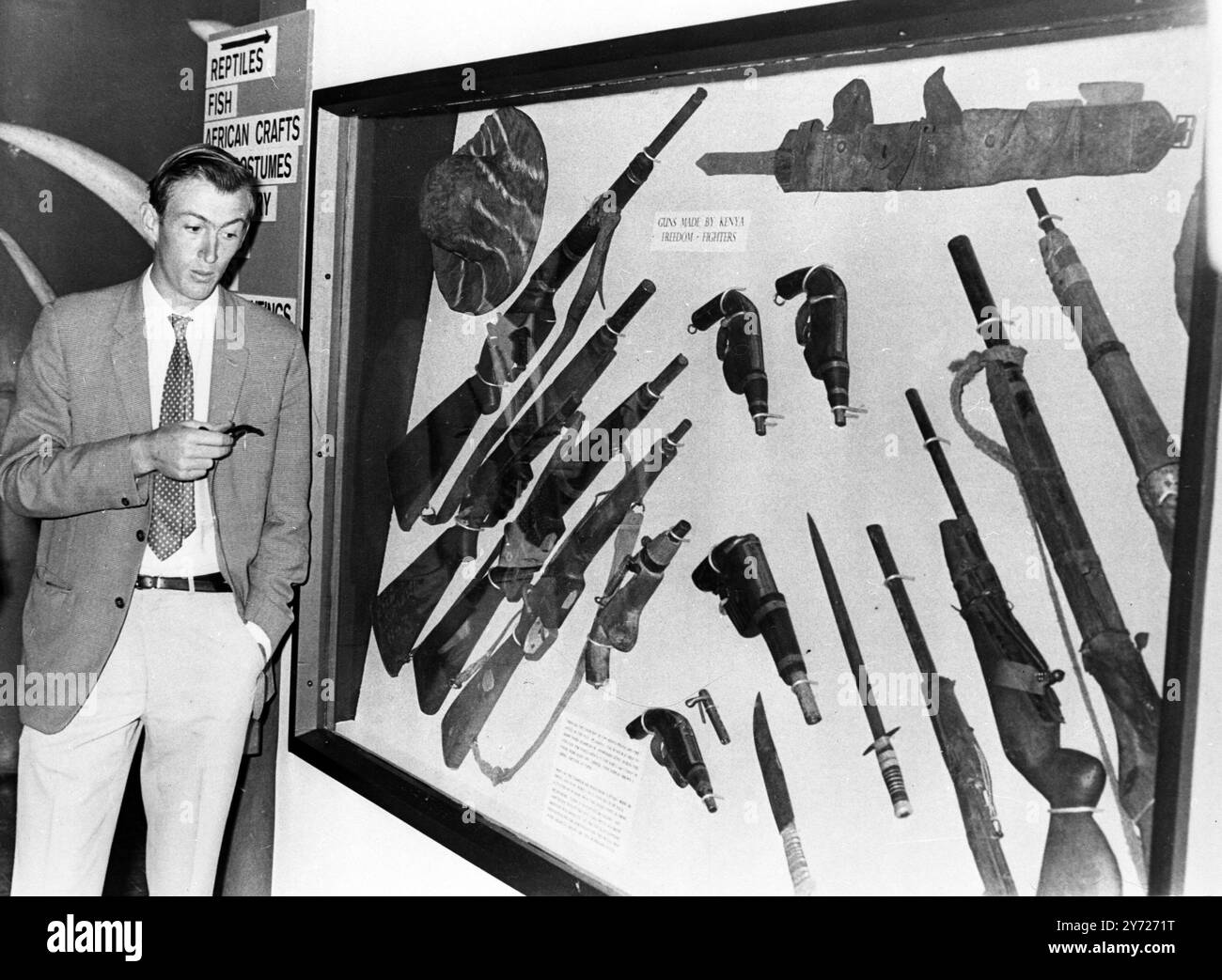 Le Dr Richard Leakey , directeur technique du Musée national de Nairobi , regardant l'exposition d'armes de fabrication artisanale , utilisées par les Mau Mau ( combattants de la liberté ) qui ont aidé le Kenya à obtenir son indépendance , présentée pour la première fois à une exposition au Musée . Il comprend des fusils fabriqués à partir de tringles à rideaux et de tubes de bicyclette , avec des boulons de porte ou des clous activés par le caoutchouc des chambres à air intérieures comme mécanismes de mise à feu . Les armes Freedom ont été données au Musée par le Bureau du Vice-Président du Kenya et la police kenyane , Nairobi , Kenya . 13 juin 1969 Banque D'Images