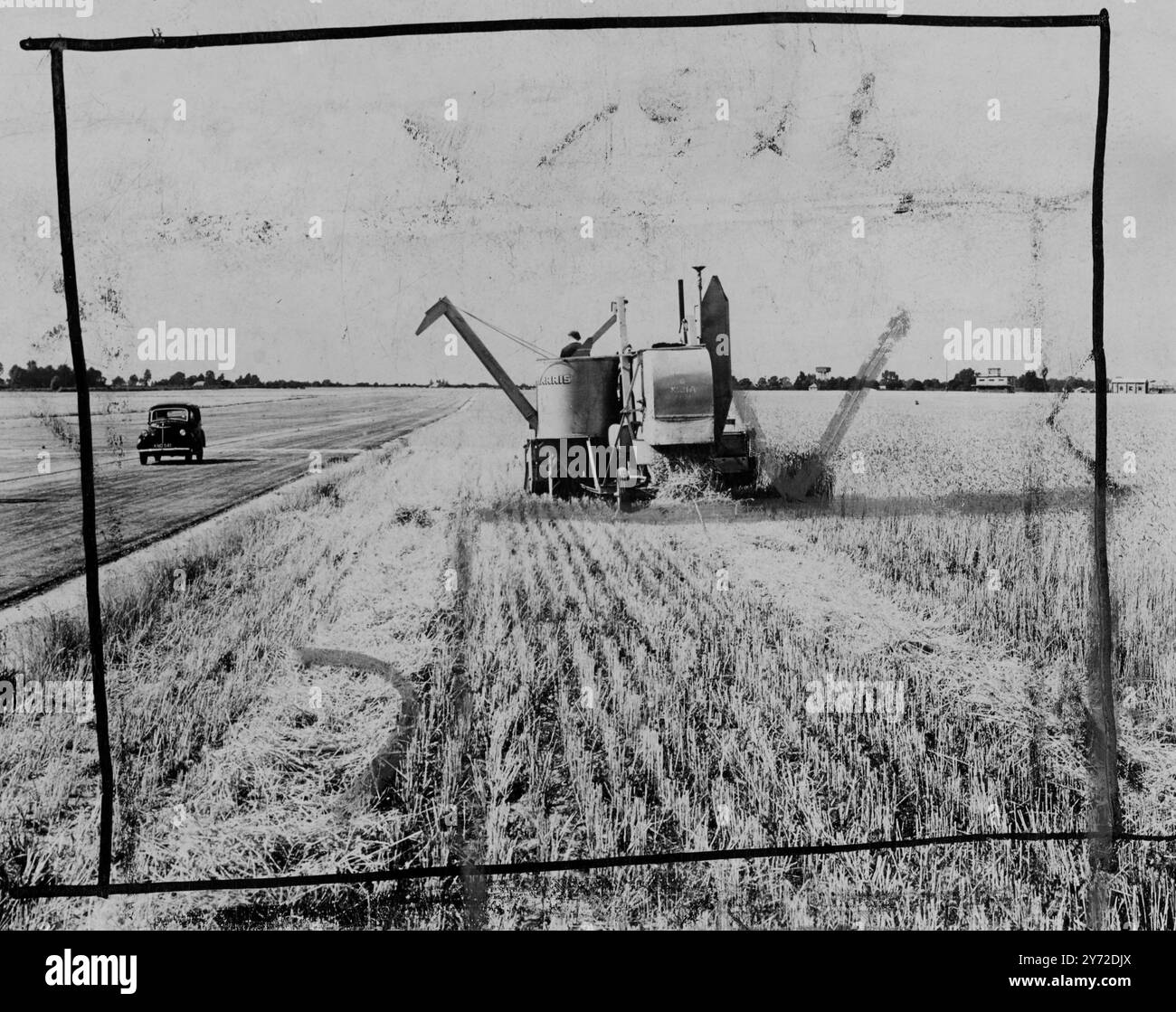 De larges hectares de campagne anglaise, habitués depuis six ans au rugissement des chasseurs et des bombardiers retentissent une fois de plus au claquement du liant et de la récolteuse. Certaines des meilleures terres agricoles de Grande-Bretagne, englouties par le système d'aérodrome en expansion rapide pendant la guerre, ont maintenant été récupérées et produisent la première récolte de nourriture précieuse. Ici, sur un ancien aérodrome de l'Essex, d'une superficie de 270 hectares, le blé est récolté par une moissonneuse-batteuse Massey-Harris No.21 de 12 pieds, l'une des machines agricoles les plus rapides et efficaces jamais conçues. A gauche, une voiture est garée sur le concre désaffecté Banque D'Images