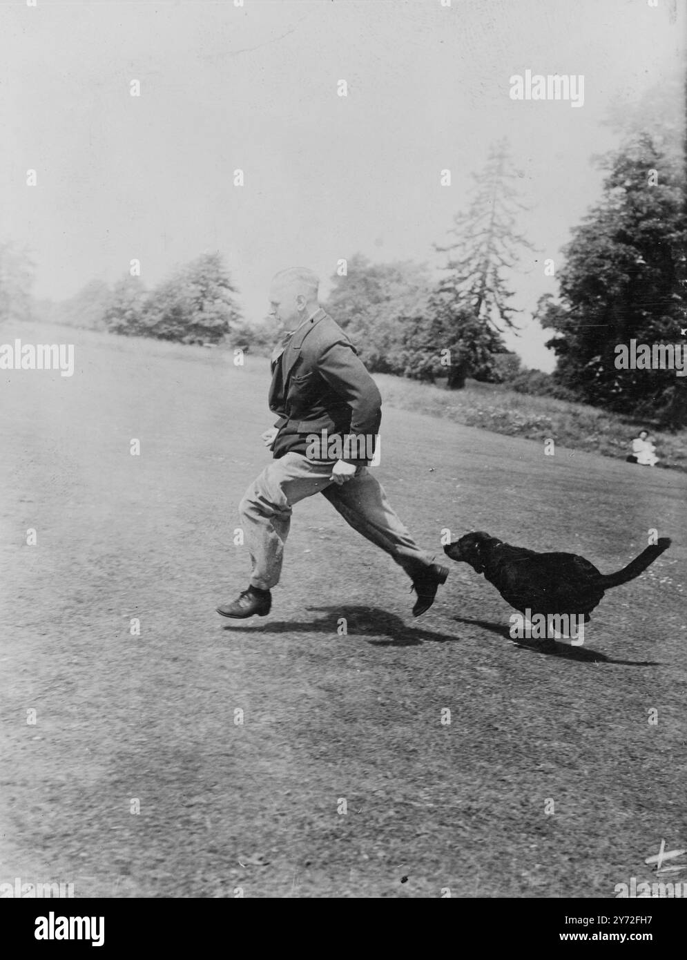 Les six chiens labrador, détenus et entraînés par la police métropolitaine pour aider dans les incidents d'enlèvement de sacs à main et la suppression des brèches de propreté, étaient exposés aujourd'hui au centre de formation de la police d'Imber court. Les méthodes qui ont été utilisées dans les 14 arrestations de 'chiens' faites jusqu'à présent et de nouveaux exercices enseignés aux chiens ont été démontrés. Une indication du succès que la patrouille canine a obtenu depuis sa création récente est qu'après l'arrestation de chiens la semaine dernière à Hyde Park, aucun incident d'enlèvement de sac à main n'a été signalé dans cette région au cours de la semaine - fin pour la première fois depuis des années. Image Banque D'Images