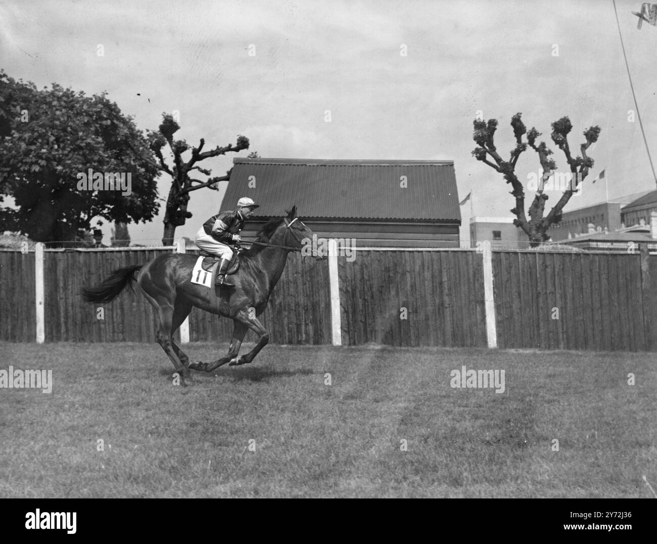 Une forte représentation française dans le Winston Churchill met en jeu une grande course dans la carte Whit-Saturday à Hurst Park, s’est avérée trop importante pour les coureurs homocrobred. Le favori français chanteur II appartenant au député Magot et monté par R. Brethes a remporté une victoire serrée sur son compatriote Nirgal (E. C. Elliott Up), appartenant à M Marcel Boussac. Un troisième combattant était le maharaja du Précipte de Baroda avec E. Britt en selle. Images : Chantuer II (R. Brethes). 24 mai 1947 Banque D'Images