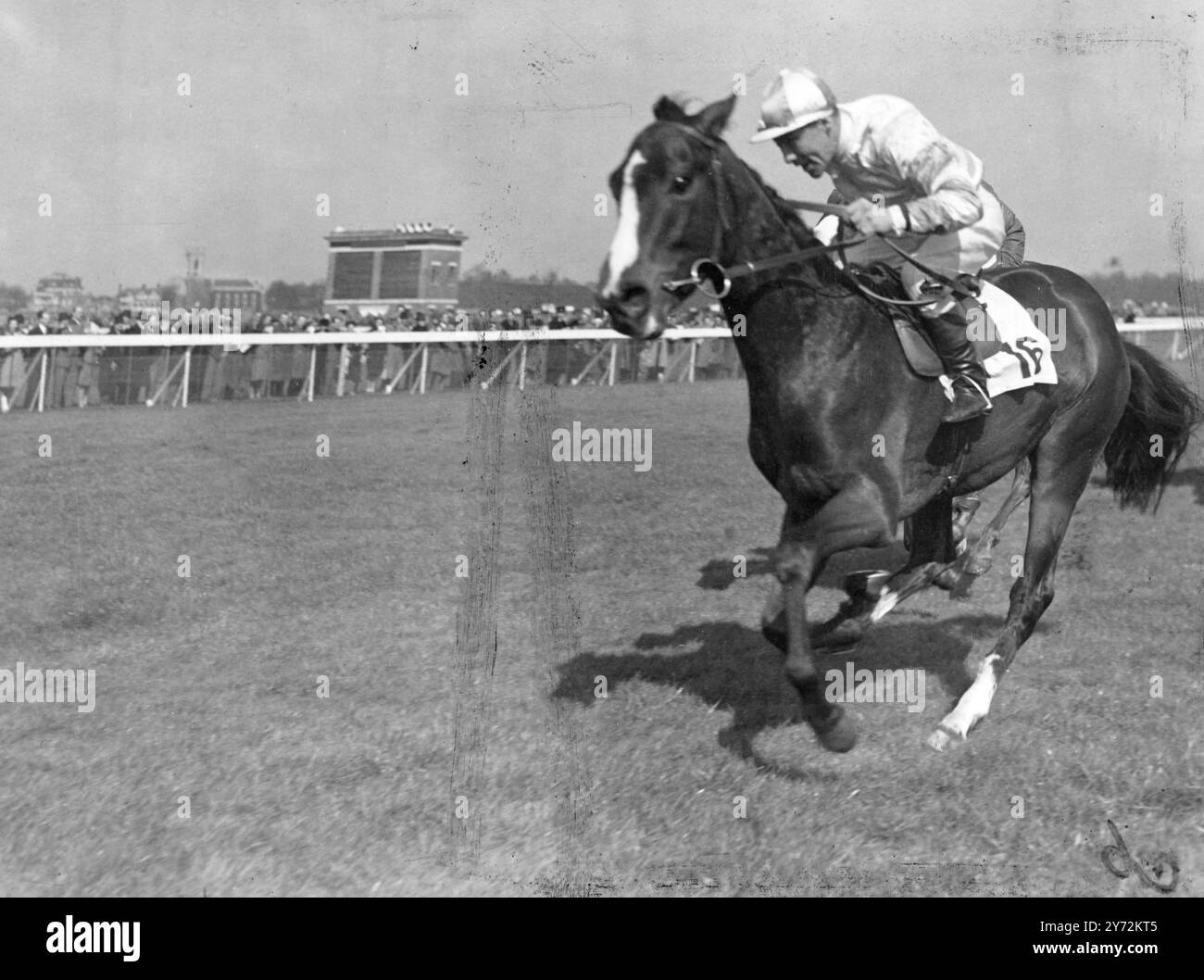 Il y a eu des courses à Hurst Park aujourd'hui la première réunion là-bas depuis l'ouverture de la saison plate. Images montrent : la lutte contre l'arrivée des Culpeper Stakes à Hurst Park cet après-midi sont Sunwell, monté la première place par E Smith, et le jeu droit, son ombre peut être vu derrière celle de Sunwell. Birijik a terminé troisième. 11 avril 1947 Banque D'Images