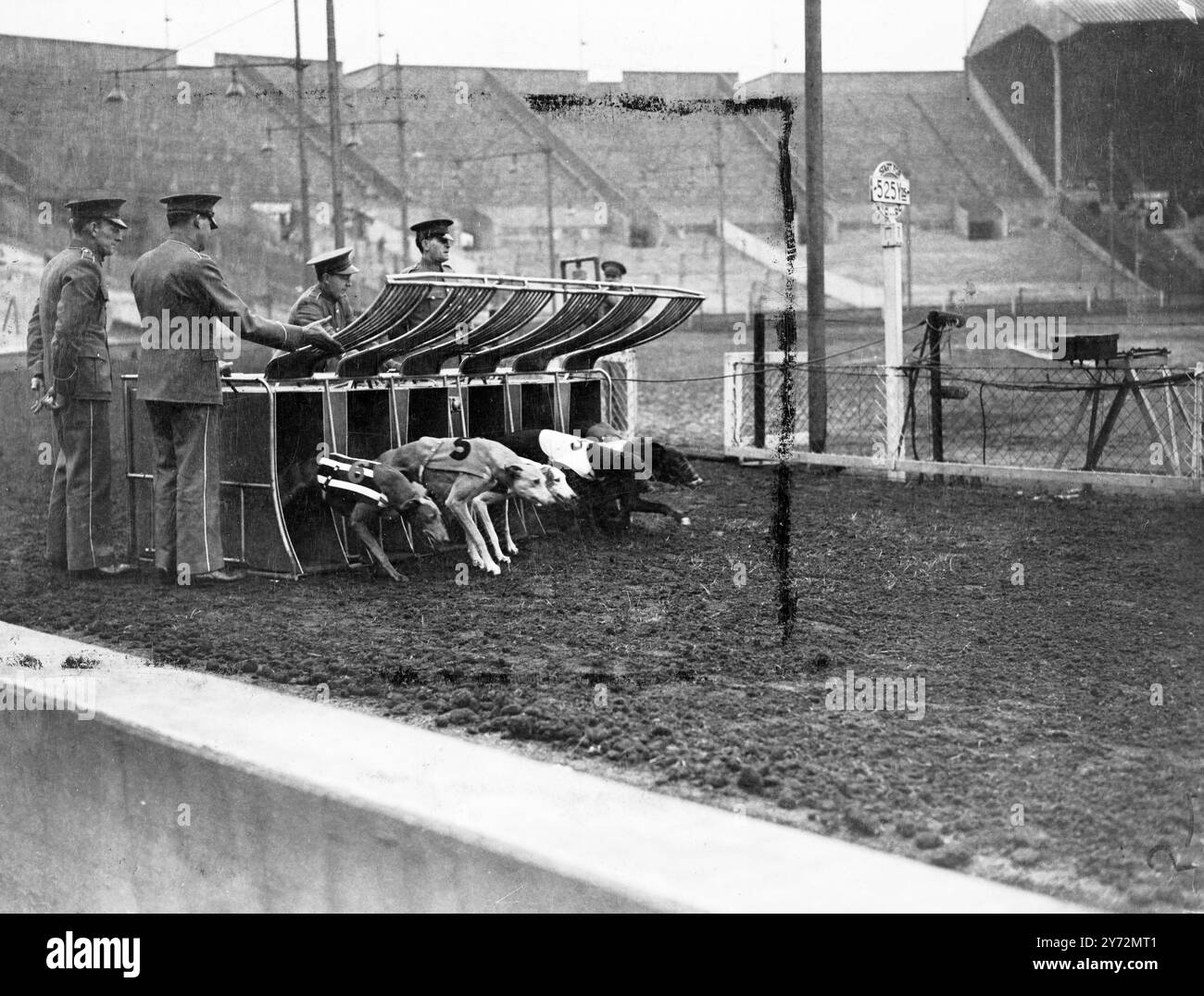 Les courses de lévriers ont repris leur rythme aujourd'hui après une suspension de 33 jours pour crise de carburant. Il y a eu 21 réunions à Londres et dans les comtés d'origine. 15 mars 1947 Banque D'Images