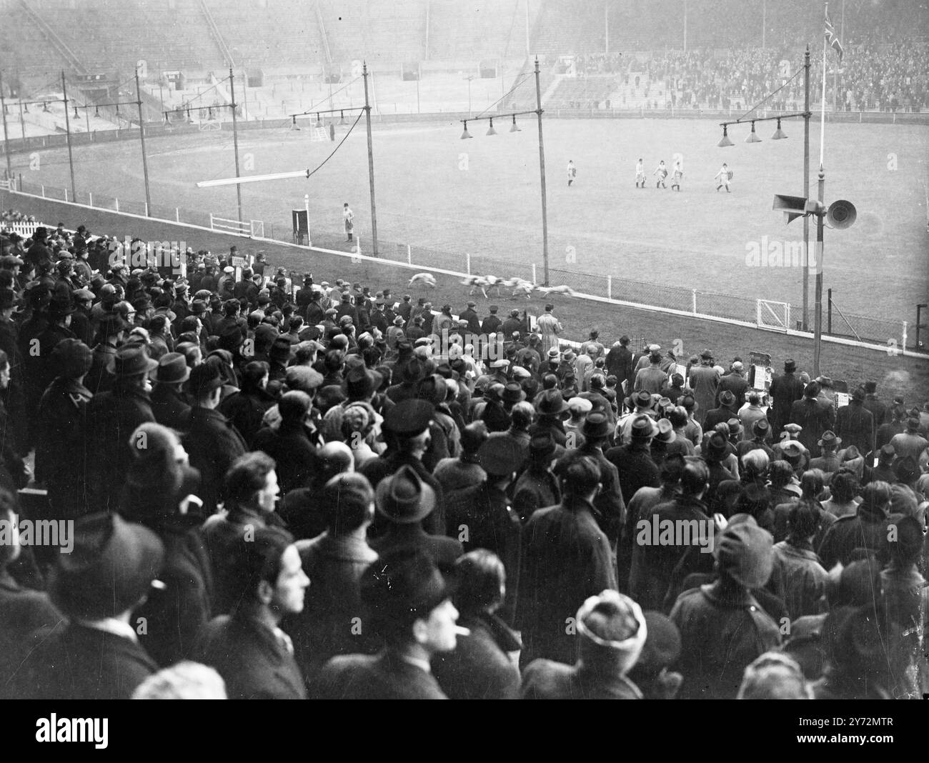 Les courses de lévriers ont repris leur rythme aujourd'hui après une suspension de 33 jours pour crise de carburant. Il y a eu 21 réunions à Londres et dans les comtés d'origine. 15 mars 1947 Banque D'Images