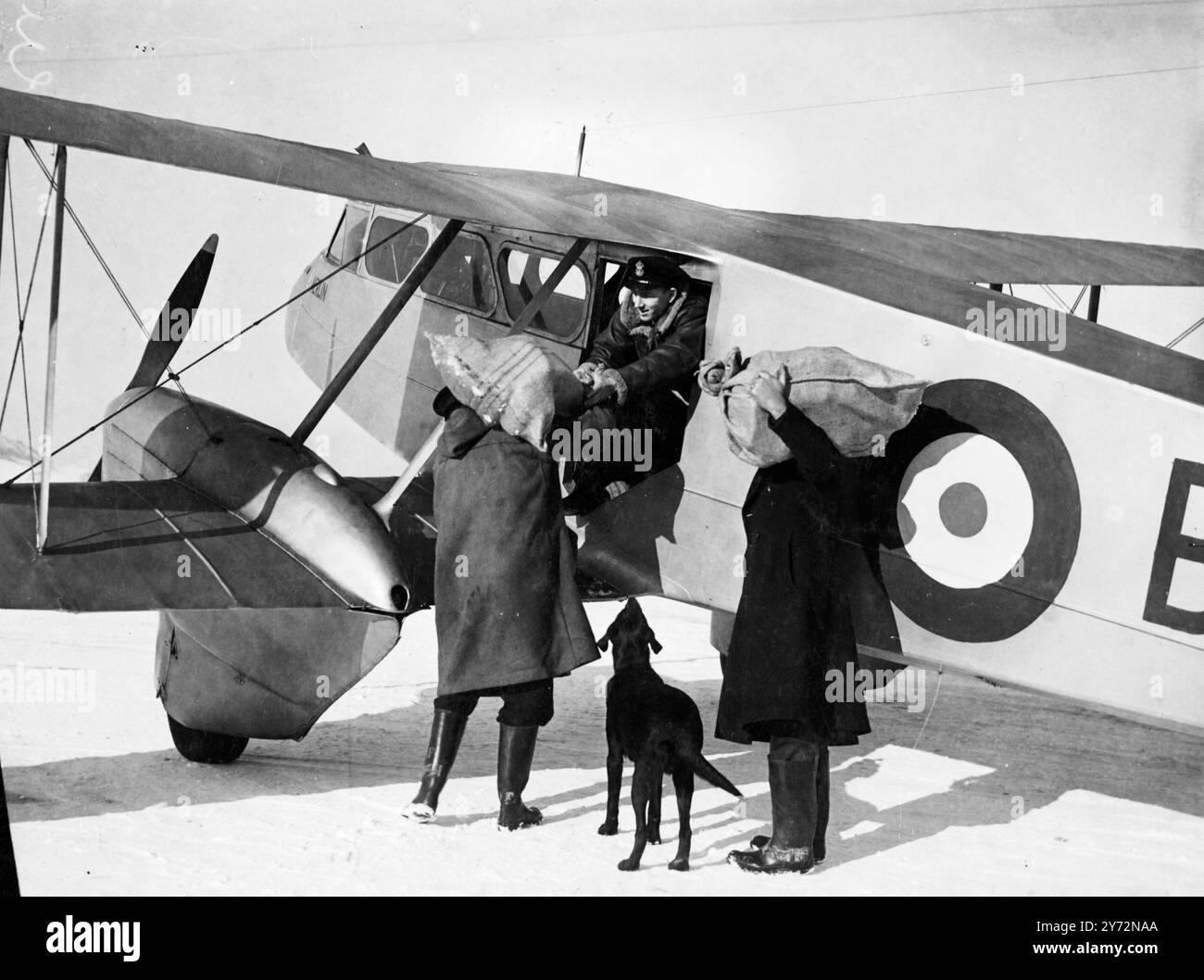 Mercy plane dépose de la nourriture à l'hôpital enneigé. Après avoir été coupé par la neige pendant cinq jours, le sanatorium de Noranside, près de Forfar, a été ravitaillé en pain et en viande par un avion Dominie de la Fleet Air Arm. L'avion volait avec sa porte, démantelée, malgré le froid intense, et 12 sacs de nourriture ont été largués sur une cible faite dans la neige à partir de morceaux de charbon. Le pilote, le Lt Cmdt H R Law, a signalé que le sanatorium était entouré par des dérives de 20 pieds et que l'approche par la route était impossible. Les 130 patients et le personnel n'avaient reçu aucun approvisionnement en nourriture, depuis avant la chute de la neige abondante. Photo sh Banque D'Images Mercy plane dépose de la nourriture à l'hôpital enneigé. Après avoir été coupé par la neige pendant cinq jours, le sanatorium de Noranside, près de Forfar, a été ravitaillé en pain et en viande par un avion Dominie de la Fleet Air Arm. L'avion volait avec sa porte, démantelée, malgré le froid intense, et 12 sacs de nourriture ont été largués sur une cible faite dans la neige à partir de morceaux de charbon. Le pilote, le Lt Cmdt H R Law, a signalé que le sanatorium était entouré par des dérives de 20 pieds et que l'approche par la route était impossible. Les 130 patients et le personnel n'avaient reçu aucun approvisionnement en nourriture, depuis avant la chute de la neige abondante. Photo sh Banque D'Images