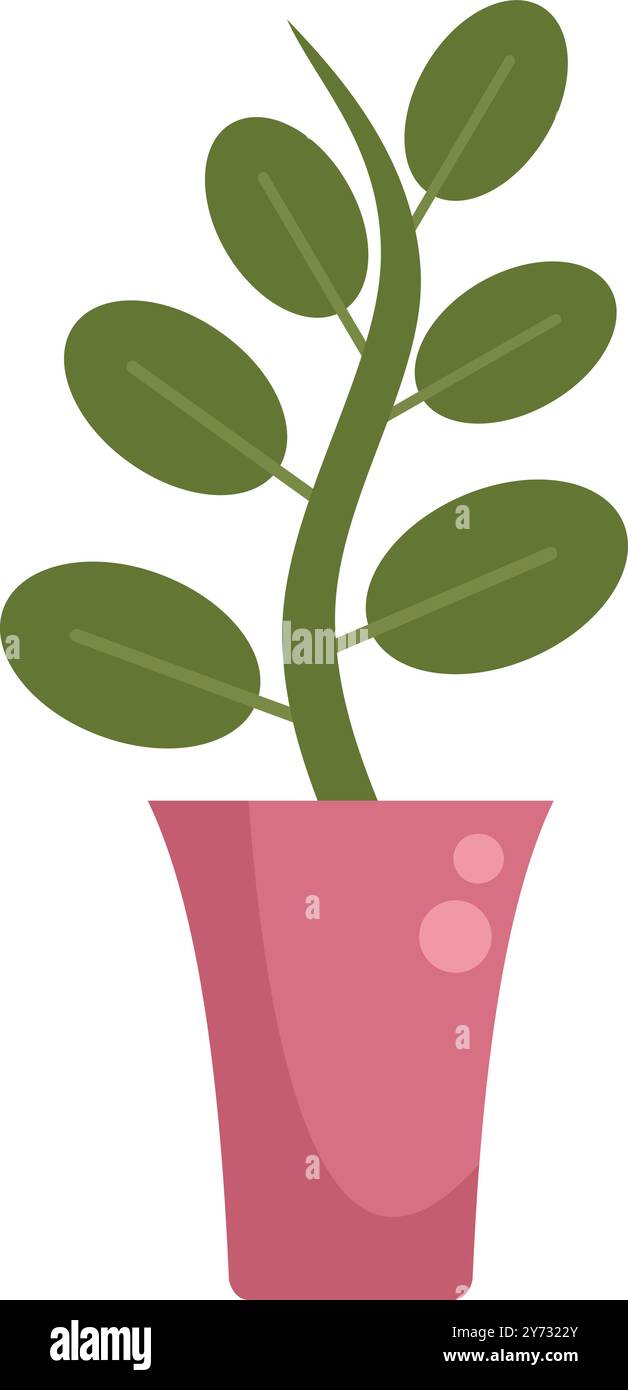 Illustration simple d'une plante avec des feuilles ovales poussant dans un pot rose, isolée sur un fond blanc Illustration de Vecteur