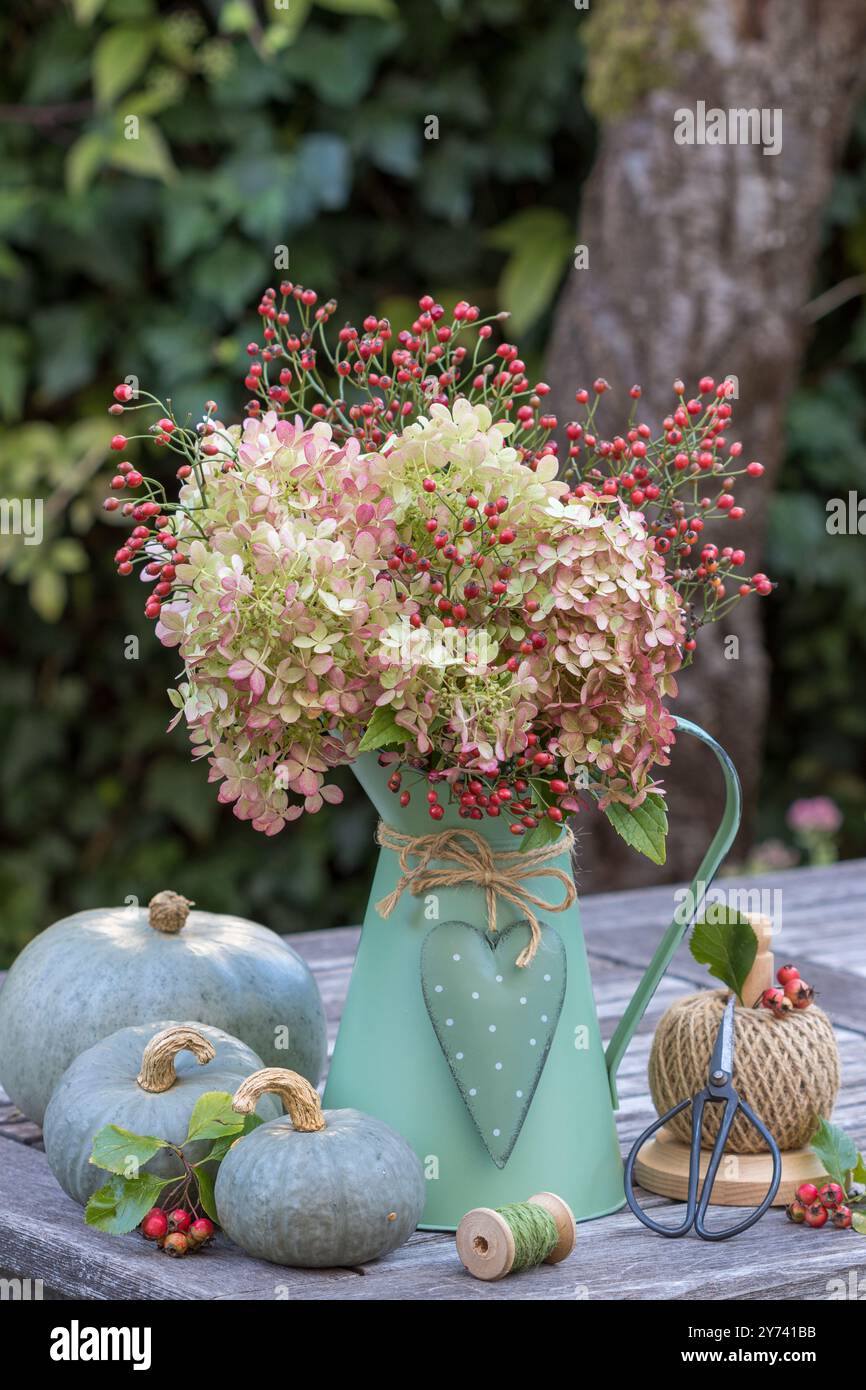 bouquet d'hortensia paniculata et de hanches roses dans une cruche vintage et citrouilles grises Banque D'Images