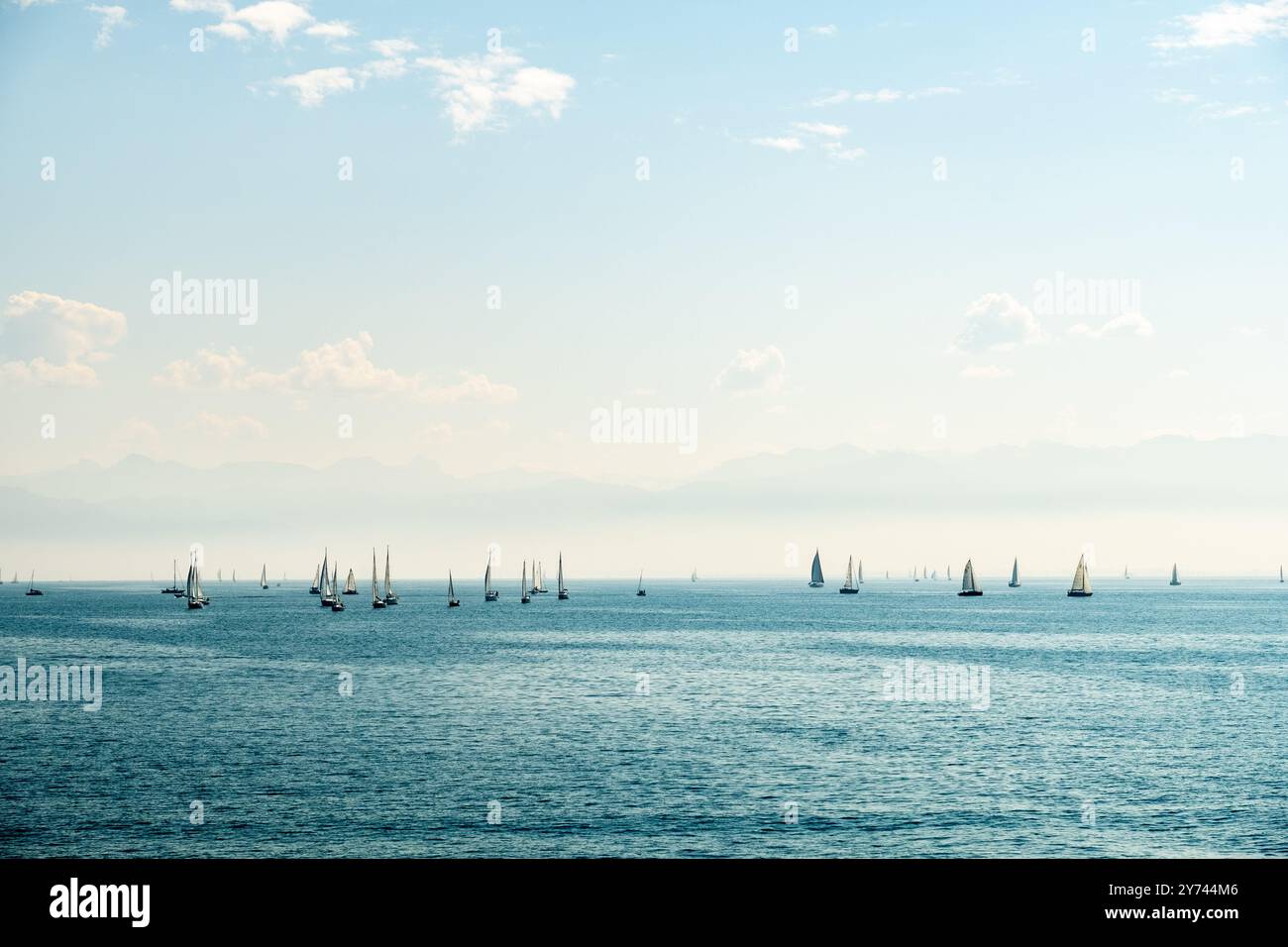 Beaucoup de voiliers sur le lac de Constance Banque D'Images