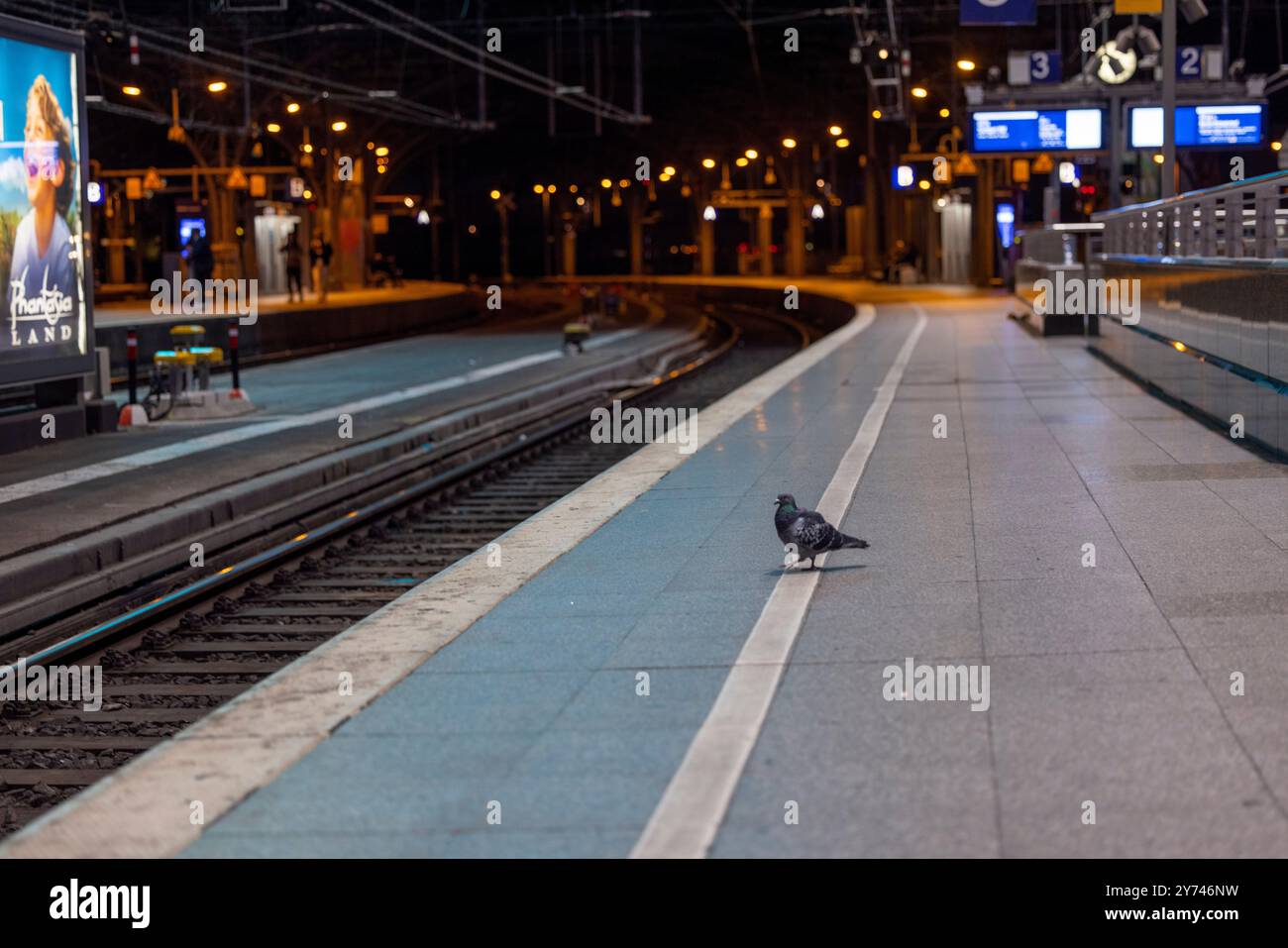 Cologne, Allemagne. 27 septembre 2024. Un pigeon traverse une plate-forme vide à la gare centrale de Cologne. La gare centrale de Cologne sera complètement fermée au trafic ferroviaire pendant la nuit du vendredi 27 septembre au samedi 28 septembre. La raison de la perturbation est le travail sur les nouvelles boîtes de signalisation électroniques. Crédit : Thomas Banneyer/dpa/Alamy Live News Banque D'Images