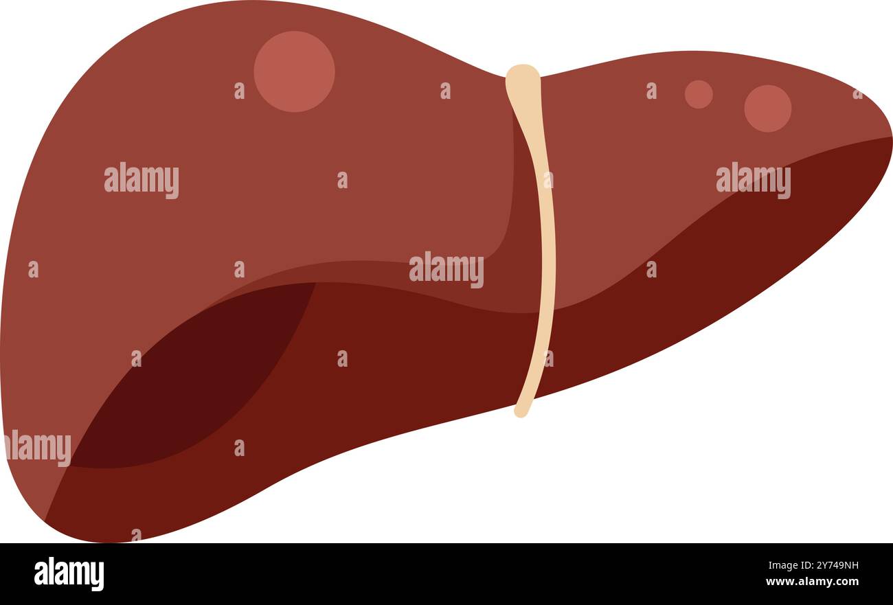 Illustration médicale représentant un foie humain malsain pressé par un élastique symbolisant la douleur Illustration de Vecteur