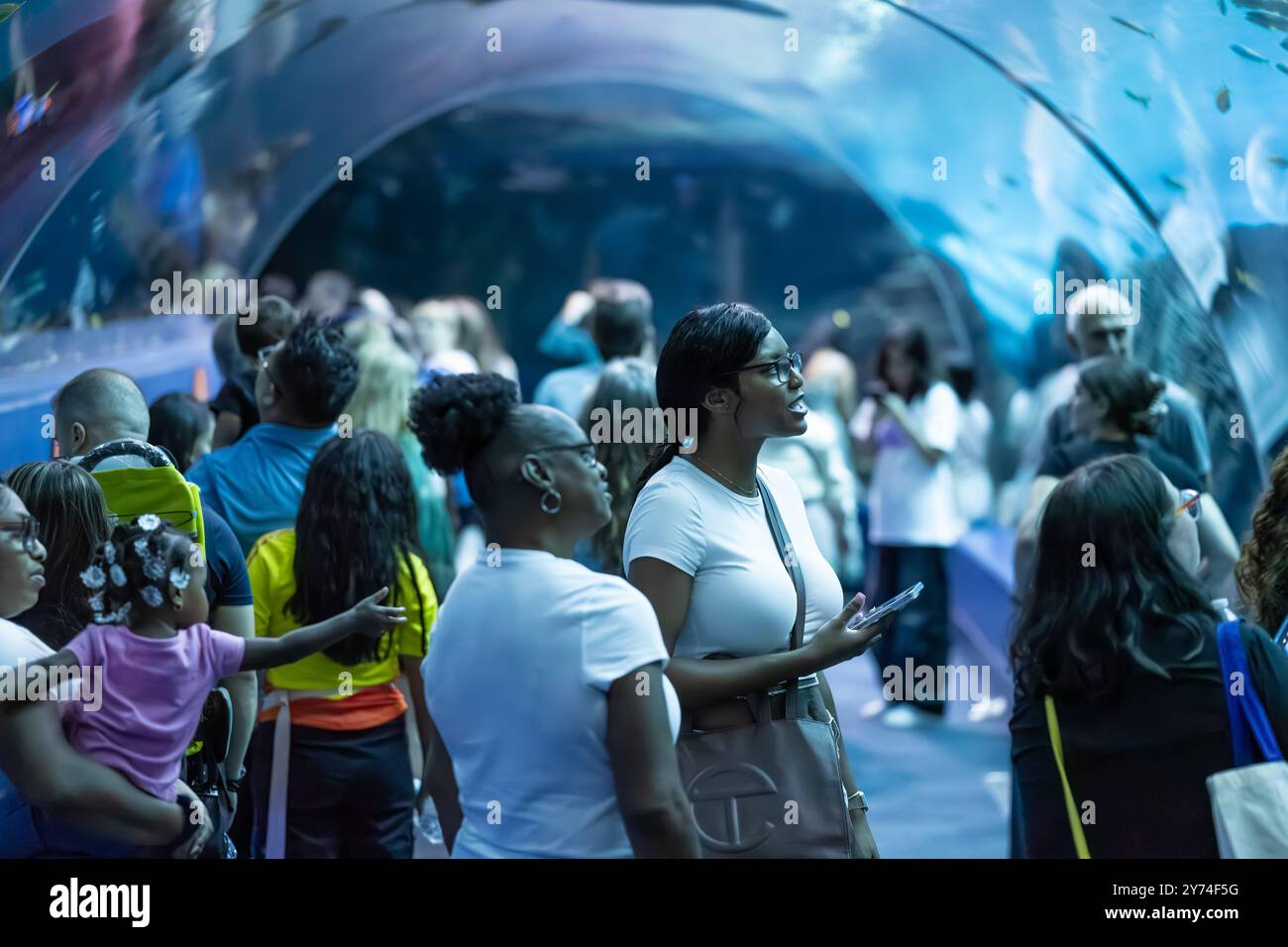 Les visiteurs de l'Aquarium de Géorgie à Atlanta apprécient les vues à travers le tunnel acrylique des requins-baleines, des raies manta et une foule d'autres espèces marines. Banque D'Images