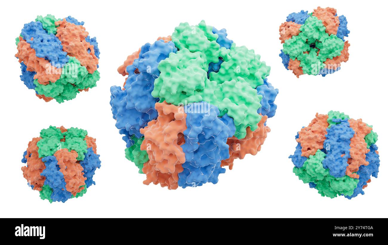 Illustration de la structure enzymatique de la ribulose-1,5-bisphosphate carboxylase/oxygénase (Rubisco). Rubisco est la protéine la plus abondante sur Terre impliquée dans le processus de photosynthèse chez les plantes, les algues et certaines bactéries. Banque D'Images