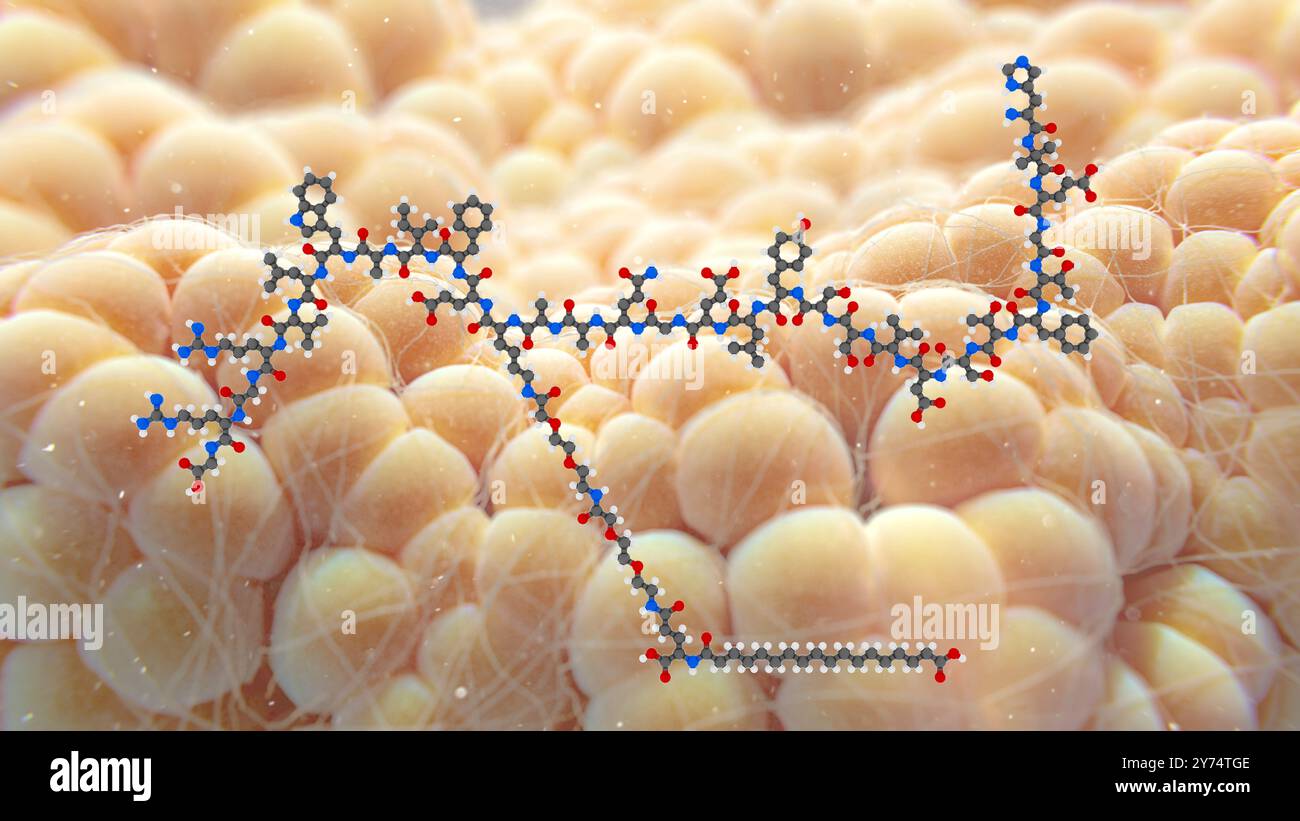 Illustration d'une molécule de sémaglutide devant les cellules graisseuses. Semaglutide est l'ingrédient actif dans les médicaments de perte de poids et de diabète Ozempic et Wegovy. Banque D'Images