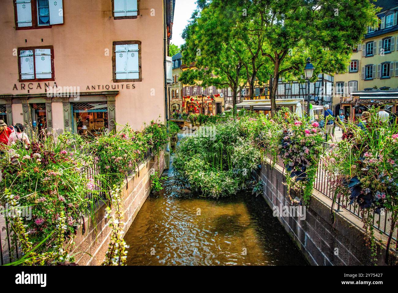 C'est une vue sur l'un des nombreux canaux de Colmar. Ce charmant village français a été surnommé « petite Venise ». Banque D'Images