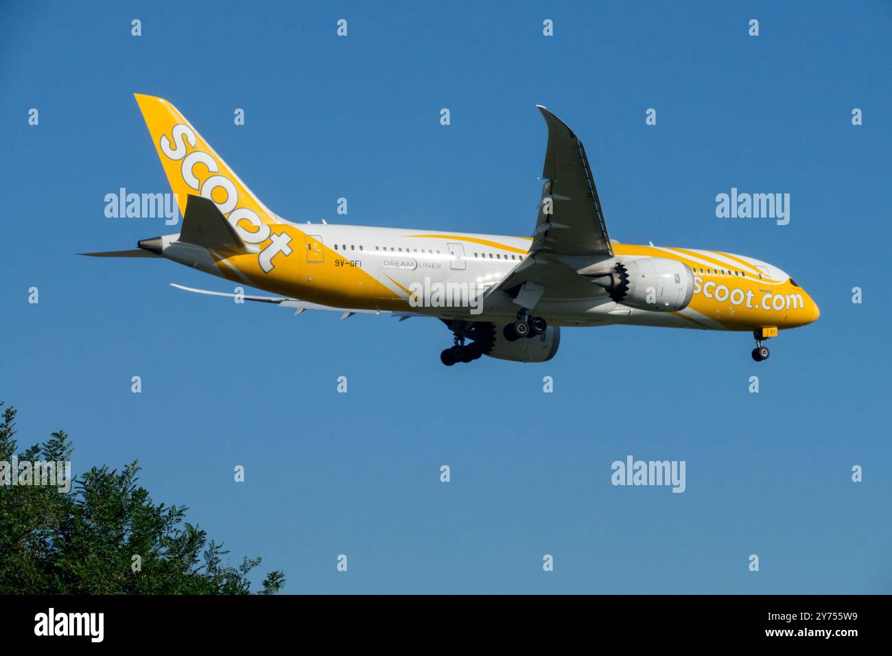 Boeing 787-8 Dreamliner Scoot Aviation Company Singaporean Low-Cost Carrier budget Discount avion avion avion Jetliner approche Berlin Banque D'Images