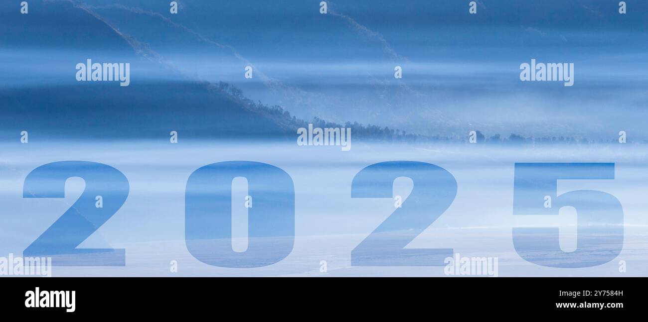 2025 nature concept pour bonne année, illustration de carte de voeux et modèle de brochure Banque D'Images