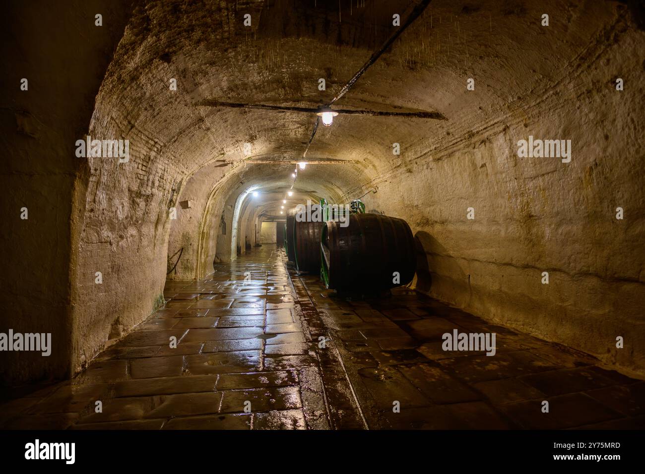 Plzen, République tchèque - 17 août 2024 : Pilsner Urquell Plzensky Prazdroj Brasserie Cave à bière avec des barils de bière en bois. Banque D'Images