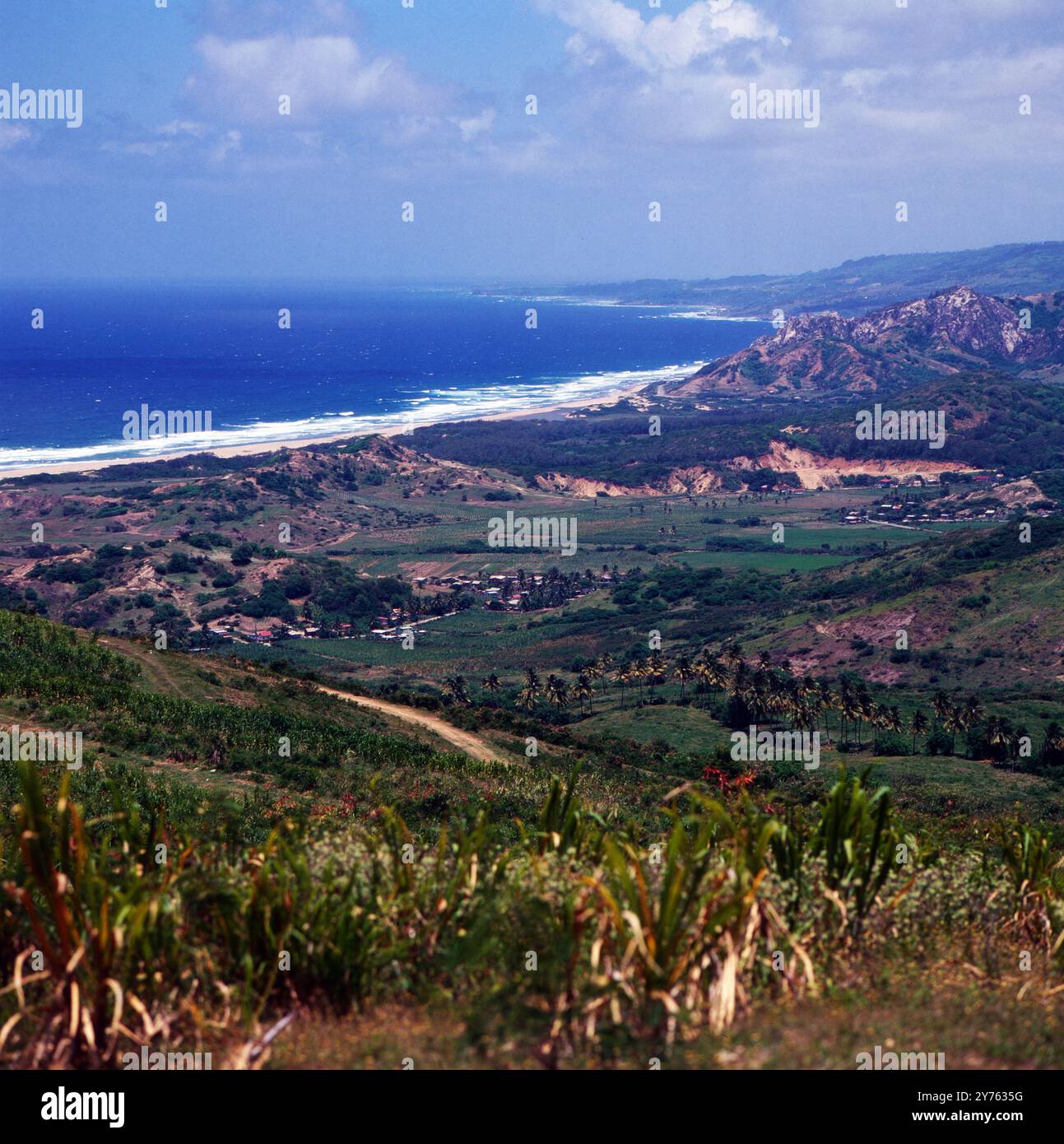 An der Ostküste von Barbados, um 1985. Banque D'Images