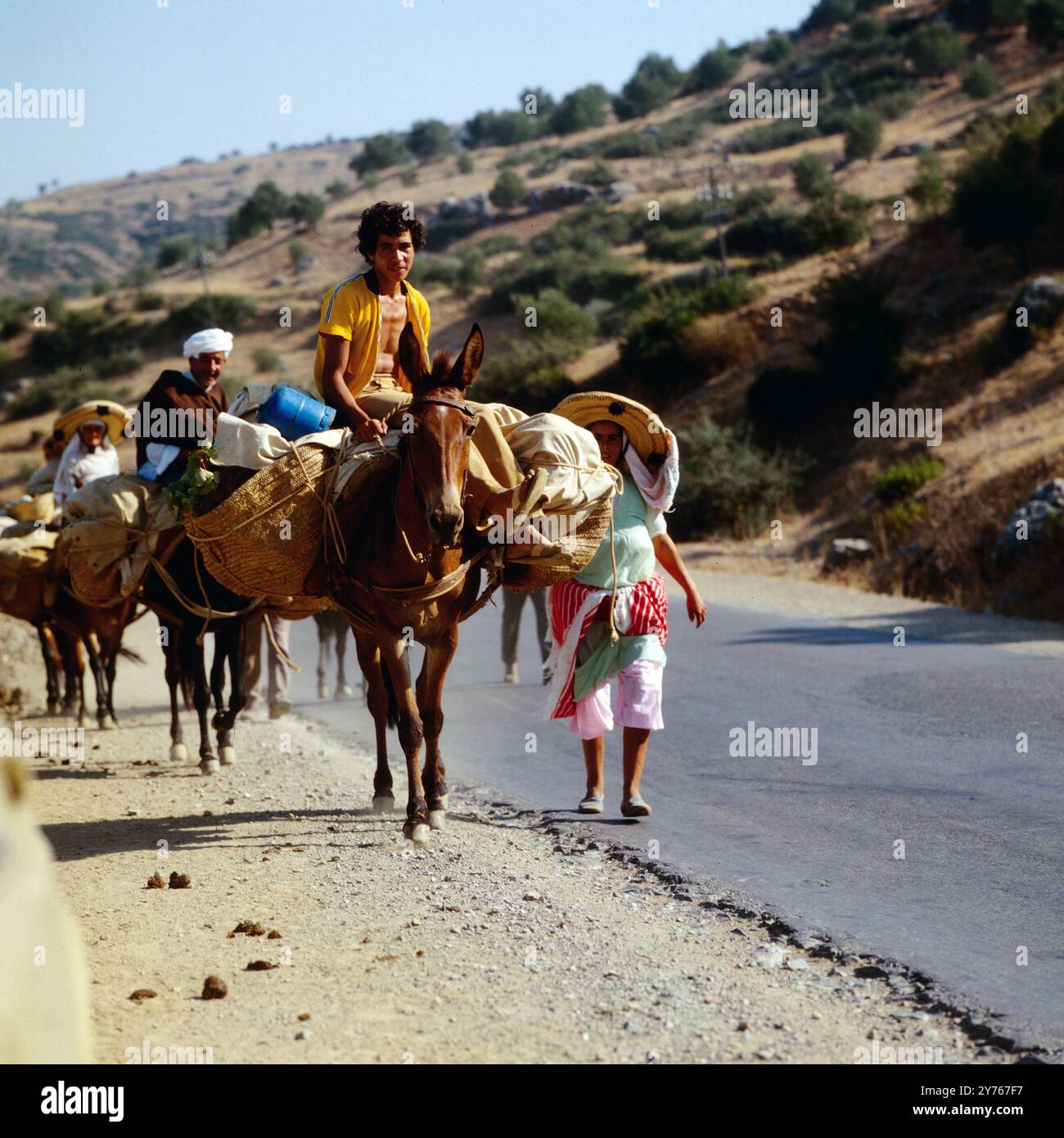 Familie mit Pferden im Rif-Gebirge, Marokko um 1985. Banque D'Images