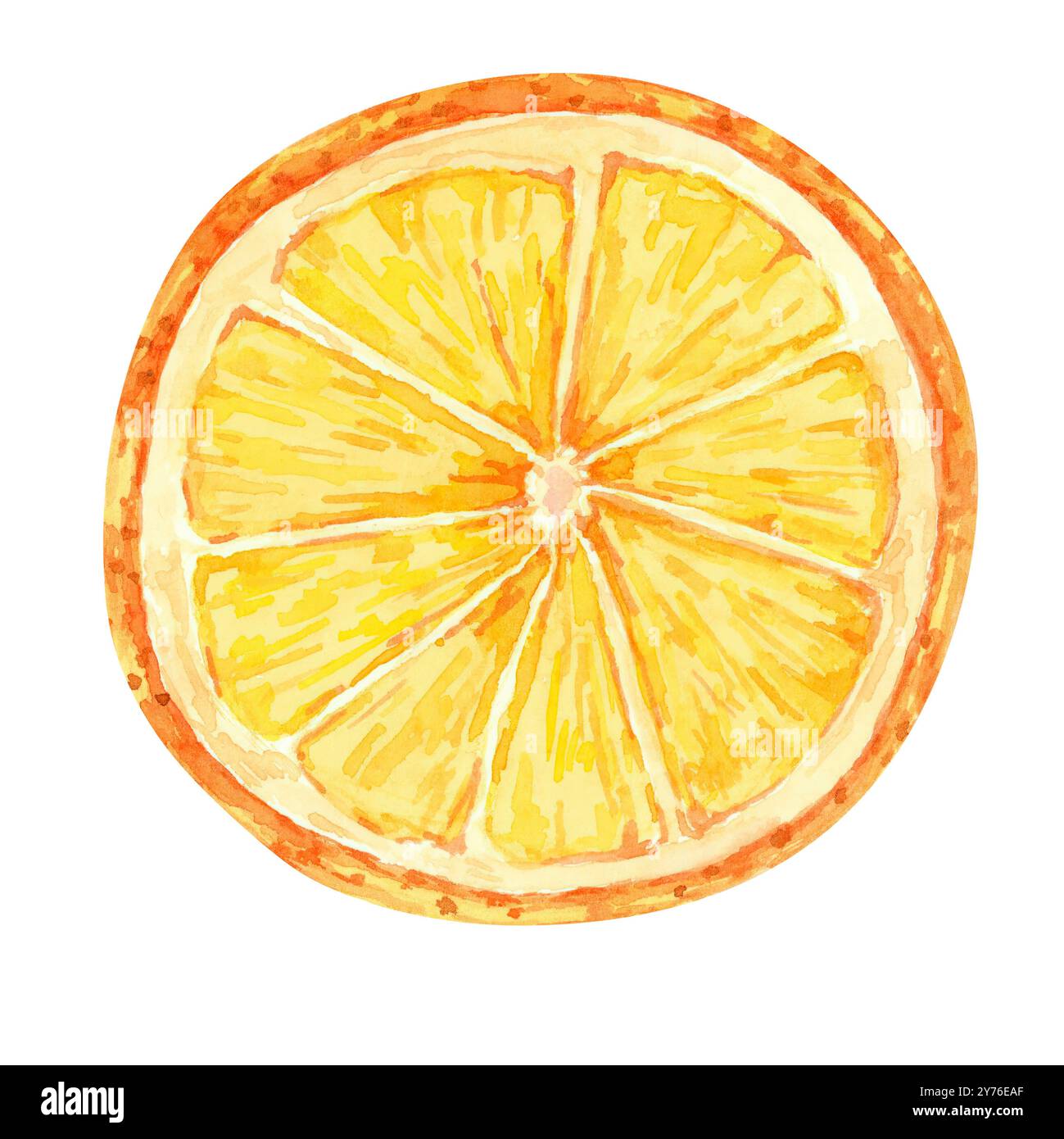 Une tranche d'agrumes jaune-orange, un clipart aquarelle pour égayer les emballages alimentaires, des motifs sur le thème des agrumes et un décor de cuisine. Illustration orange ou mandarine pour la marchandise culinaire Banque D'Images