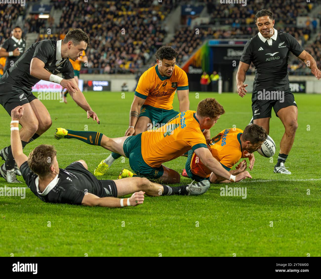 Wellington, Nouvelle-Zélande. 28 septembre 2024. Australie scrumhalf Jake Gordon renverse la balle sur la ligne de tribut. Les wallabies manquent de marquer un essai précoce. New Zealand All Blacks vs Australie. Championnat de rugby, deuxième épreuve de la Bledisloe Cup. Wellington. Nouvelle-Zélande. La Nouvelle-Zélande bat l'Australie 33-13 (HT 19-13). (Joe Serci/SPP) crédit : SPP Sport Press photo. /Alamy Live News Banque D'Images