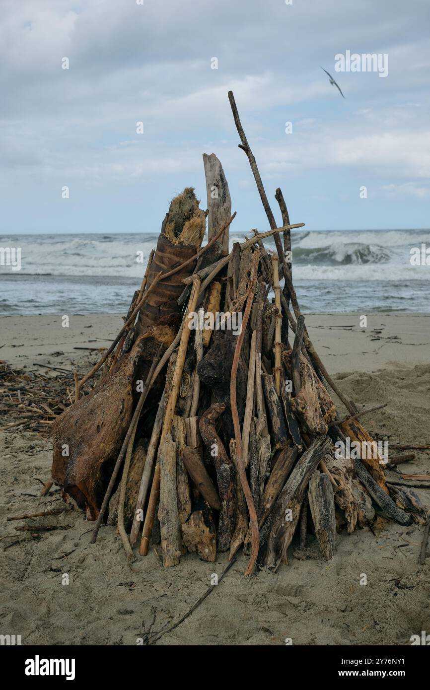 Structure de tipi Driftwood sur la plage de Mendihuaca, Colombie Banque D'Images