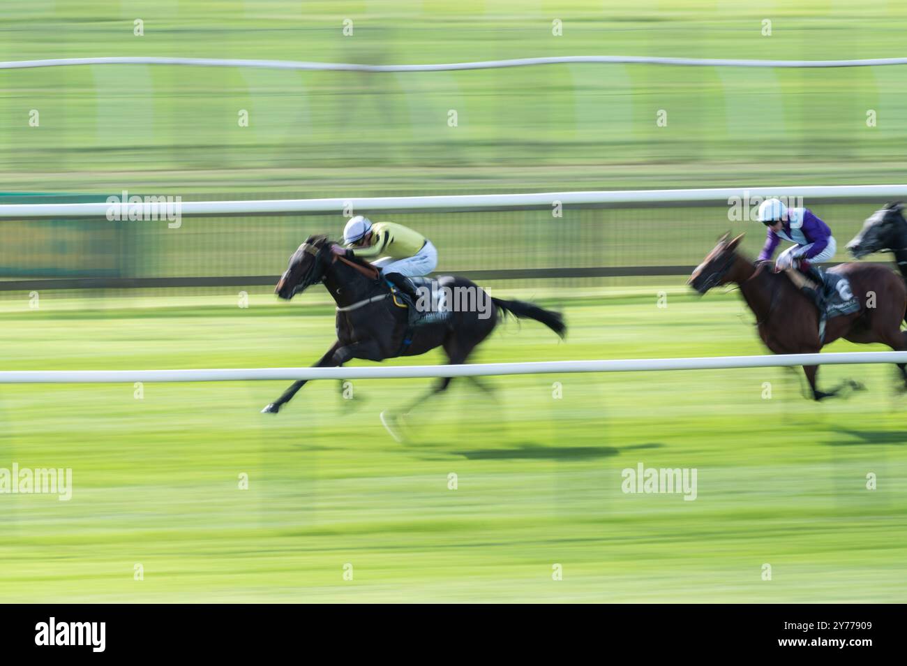 Newmarket, Royaume-Uni. 28 septembre 2024. James Doyle Riding Wimbledon Hawkeye remporte les Juddmonte Royal Lodge Stakes. La rencontre du Cambridgeshire se déroule sur trois jours à Newmarket Racecourses et est l'un des événements majeurs de la saison des courses hippiques d'automne. (Photo de David Tramontan/SOPA images/SIPA USA) crédit : SIPA USA/Alamy Live News Banque D'Images