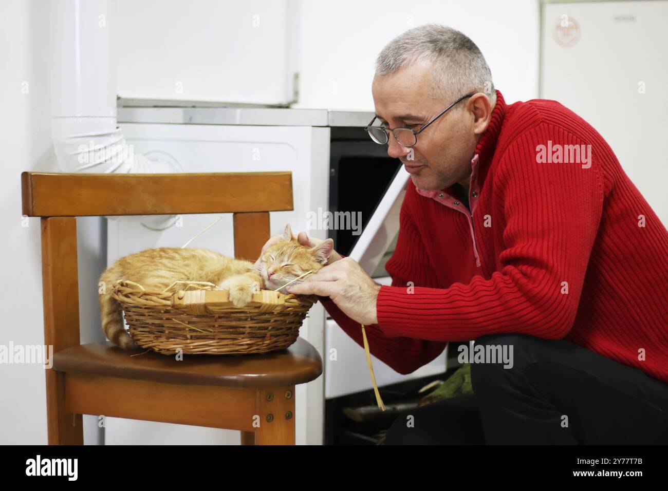 L'homme caresse mignon chat gingembre dormant dans le panier. Moelleux animal a une sieste avec plaisir. Concept sur les animaux de compagnie et l'amour pour eux Banque D'Images