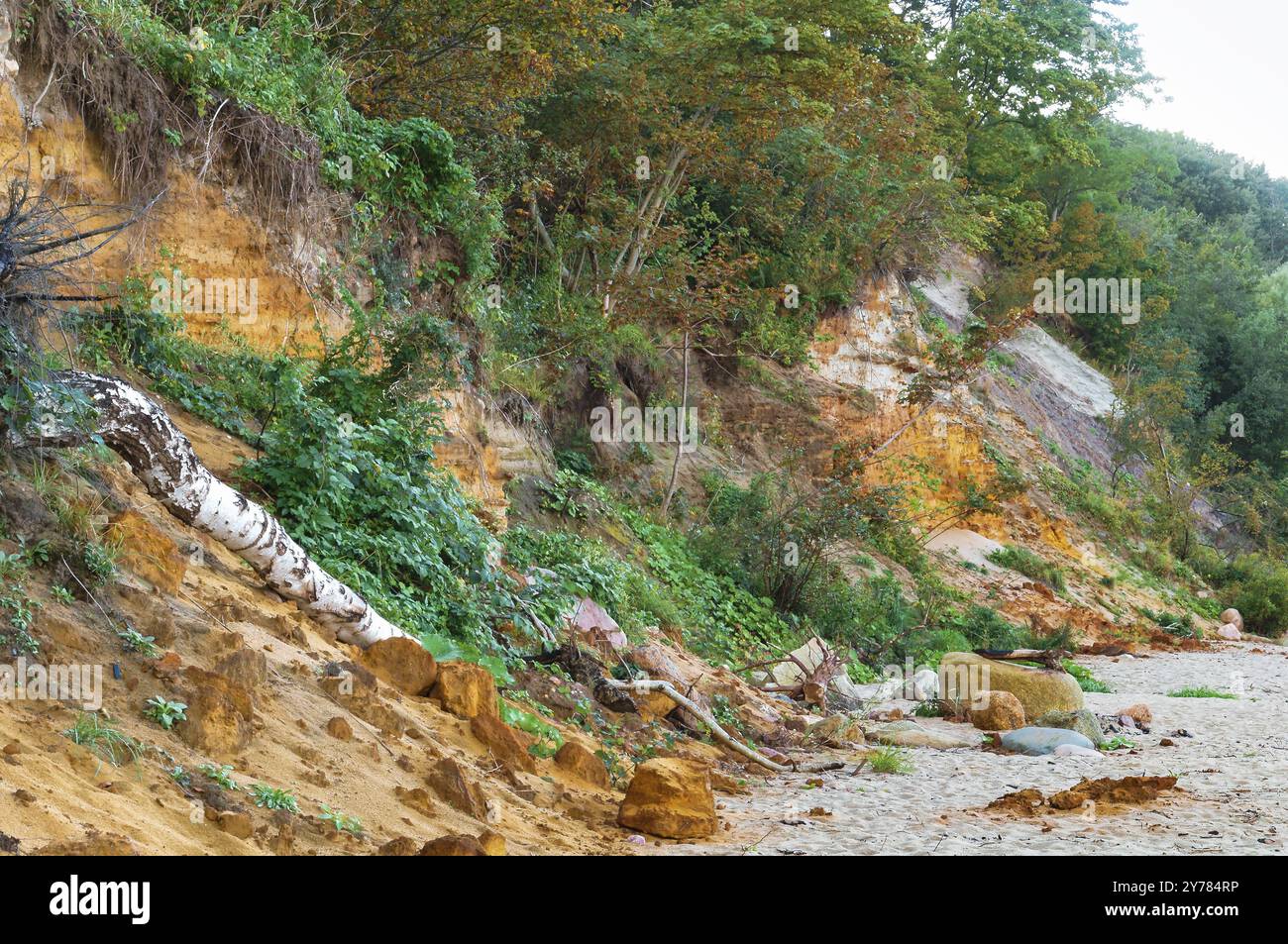 Côte sauvage de la mer, envahie par la végétation des rives escarpées Banque D'Images