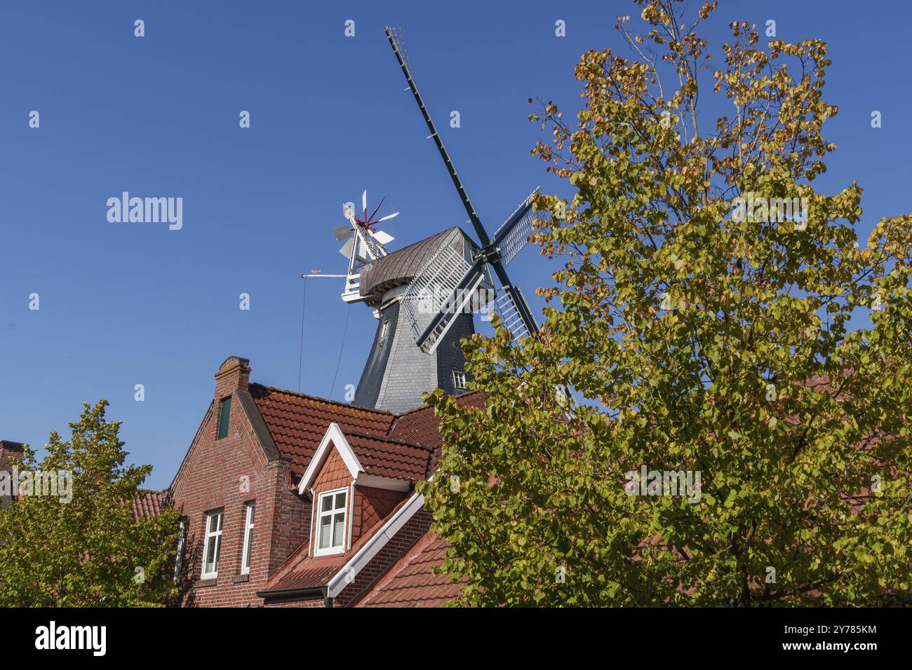 Moulin à vent et maisons en brique rouge avec des arbres au premier plan sous un ciel bleu, Ditzum, Frise orientale, Allemagne, Europe Banque D'Images